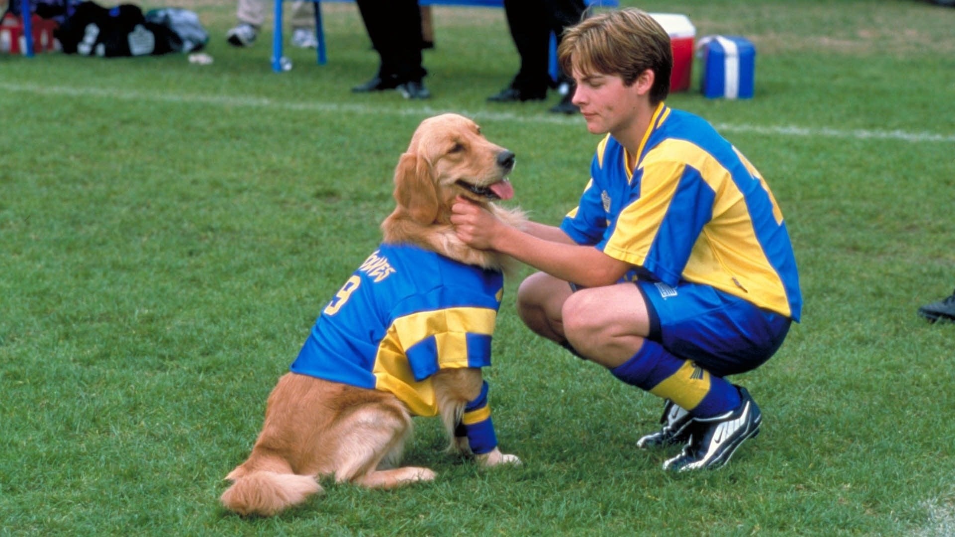 Foto do filme Bud 3: Jogando Futebol