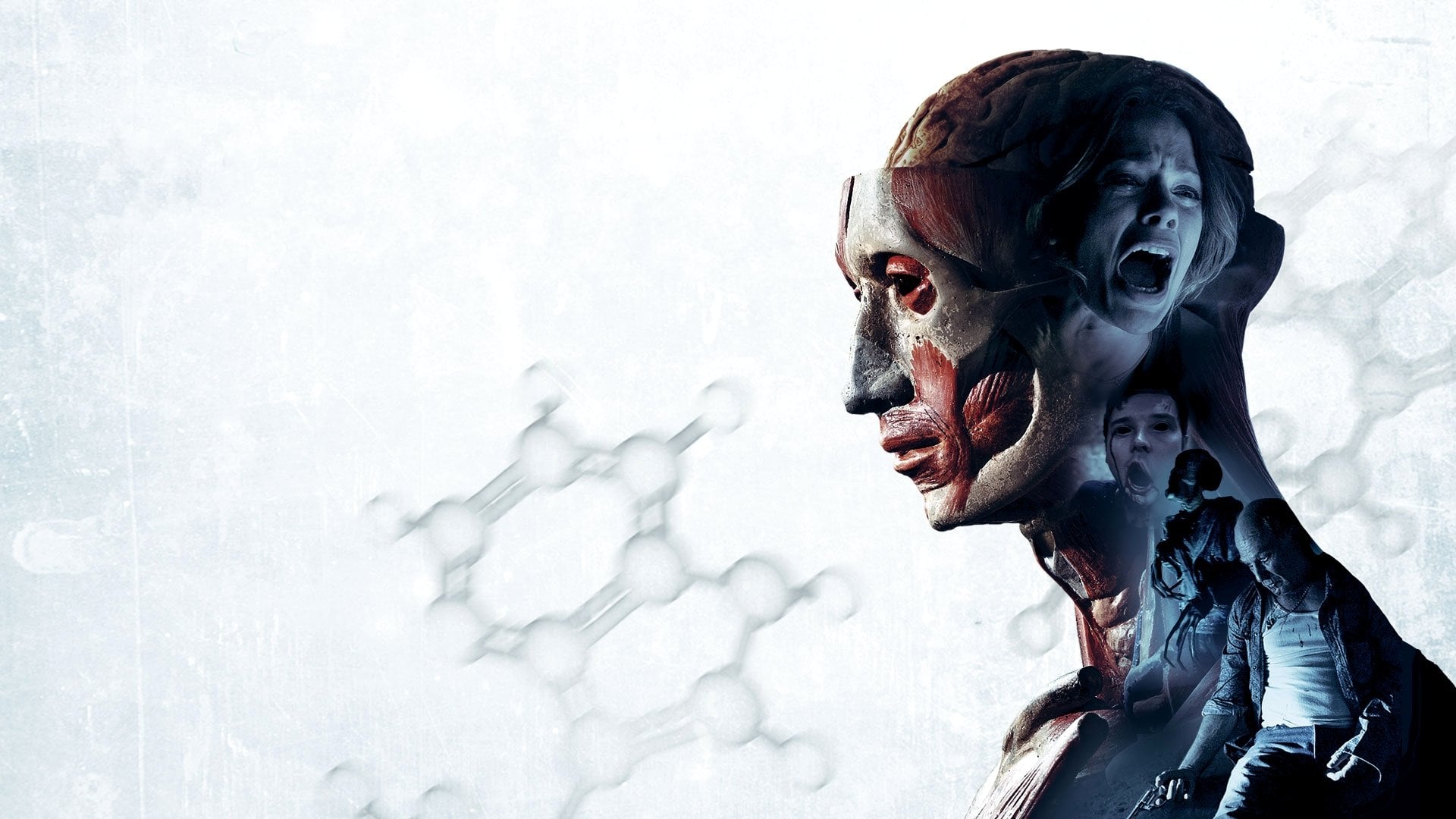 Foto do filme Banshee Chapter