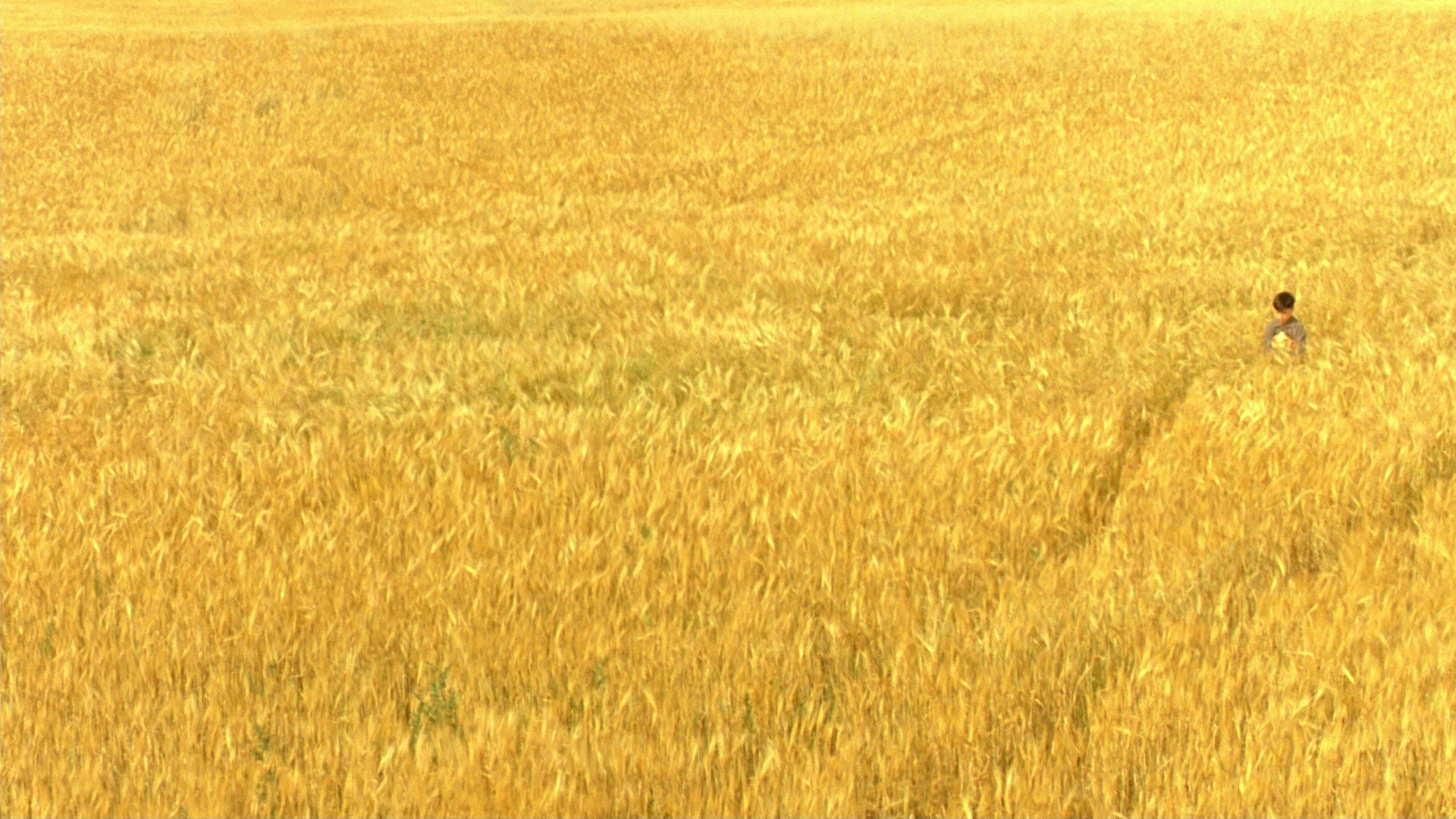 Foto do filme O Reflexo do Mal