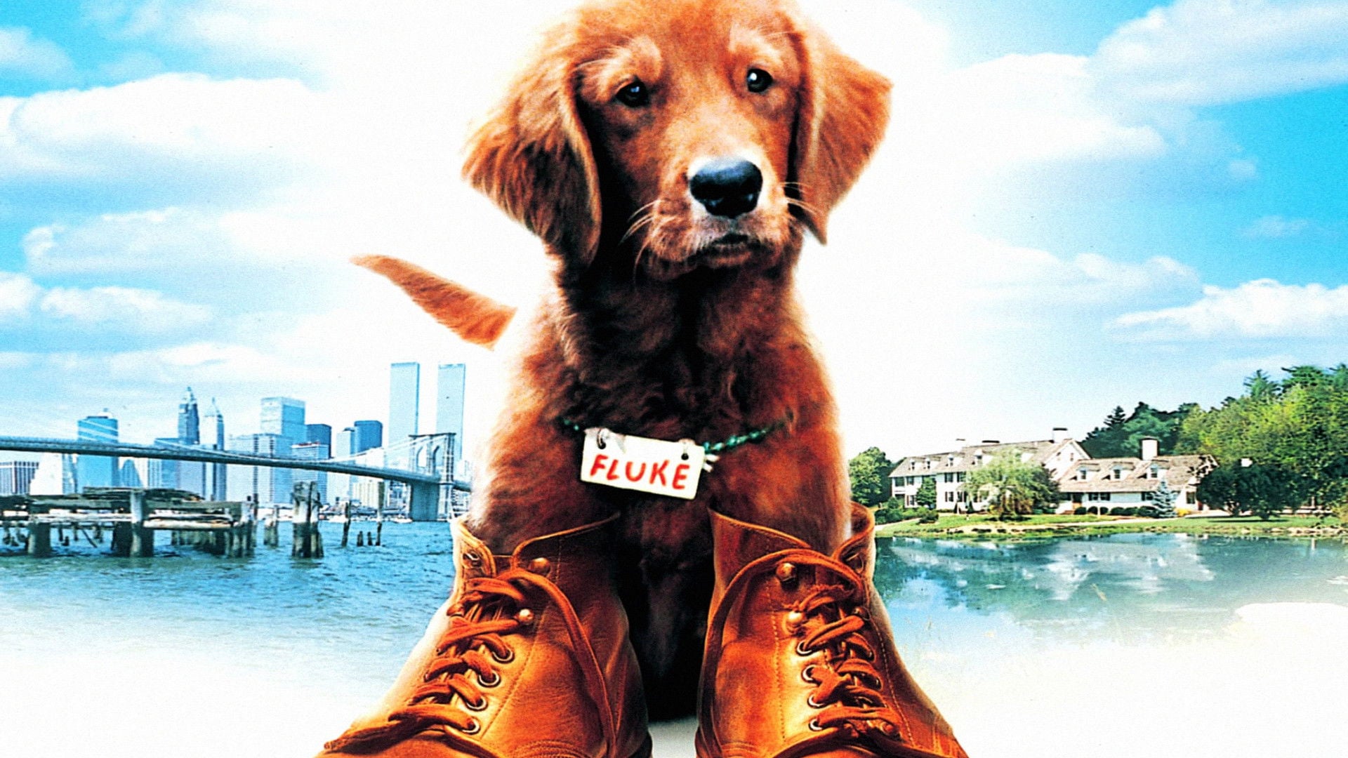 Foto do filme Lembranças de Outra Vida