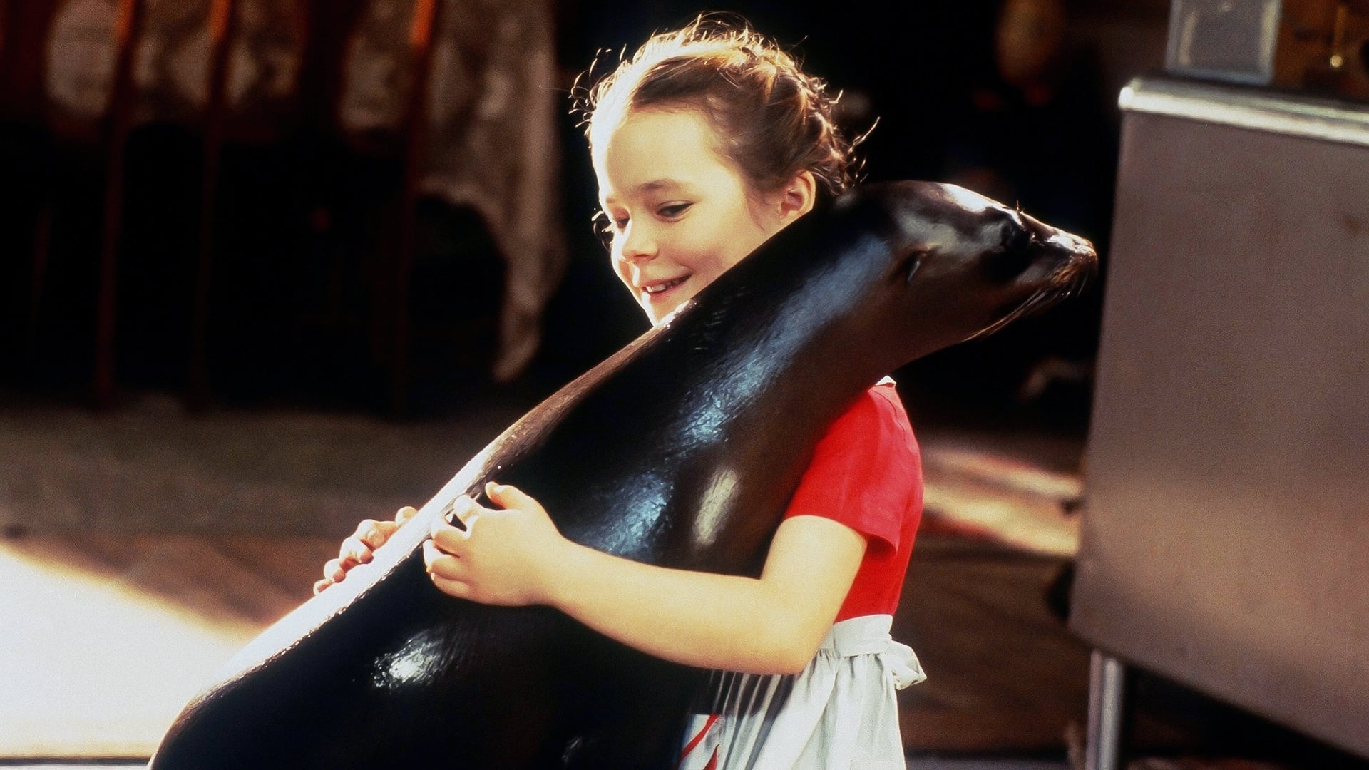 Foto do filme André - Uma Foca em Minha Casa