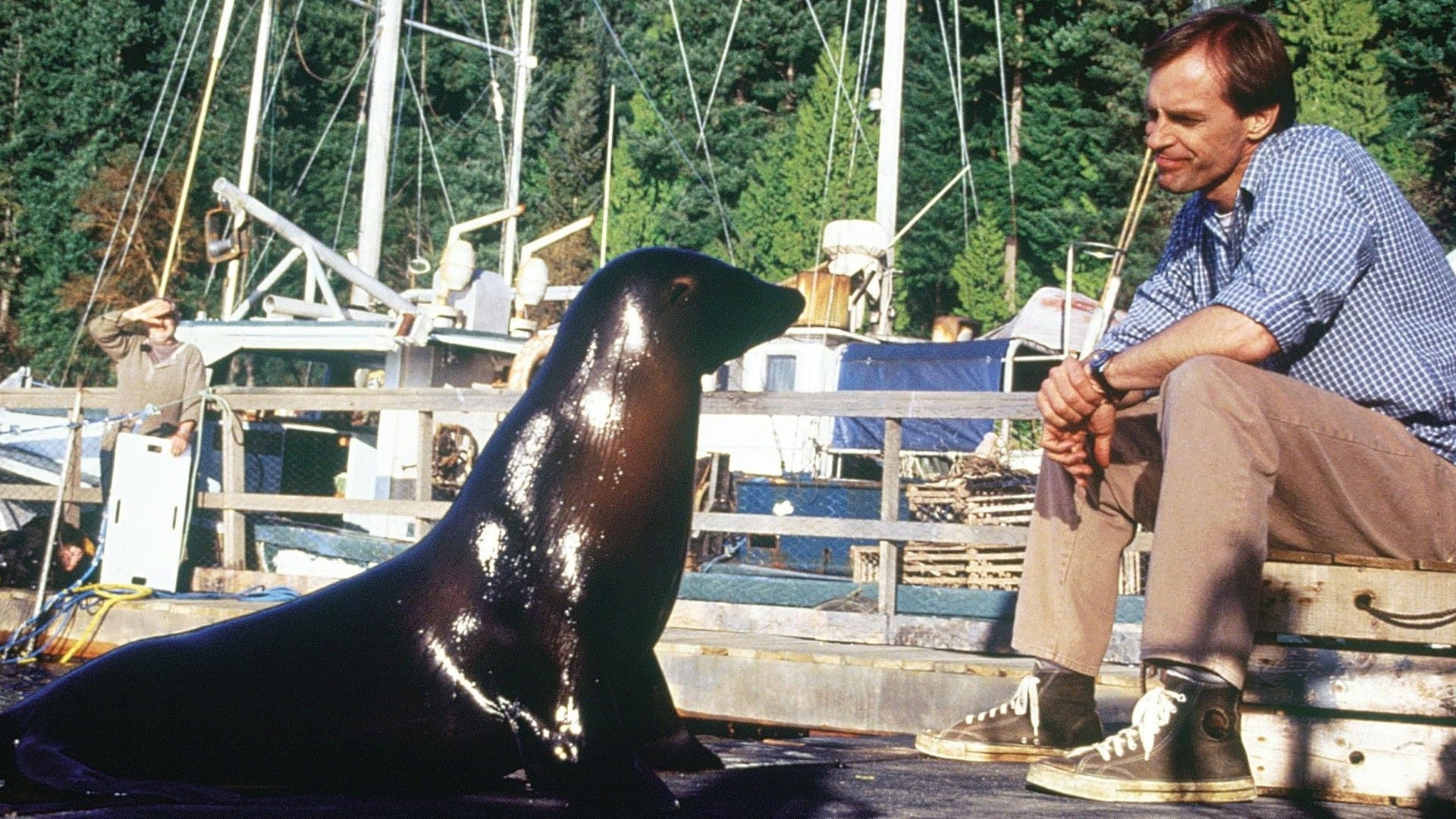 Foto do filme André - Uma Foca em Minha Casa