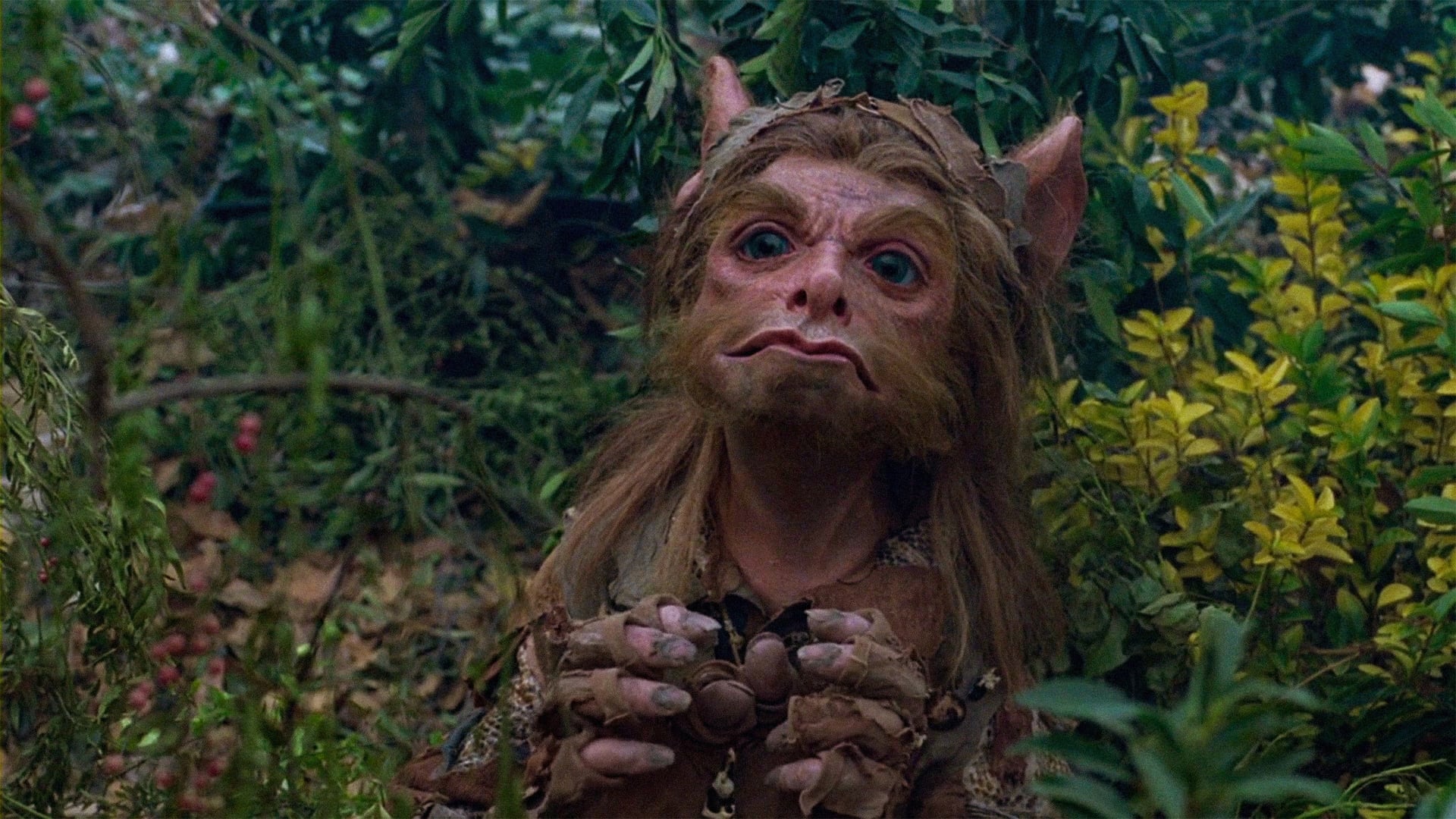 Foto do filme A Gnome Named Gnorm