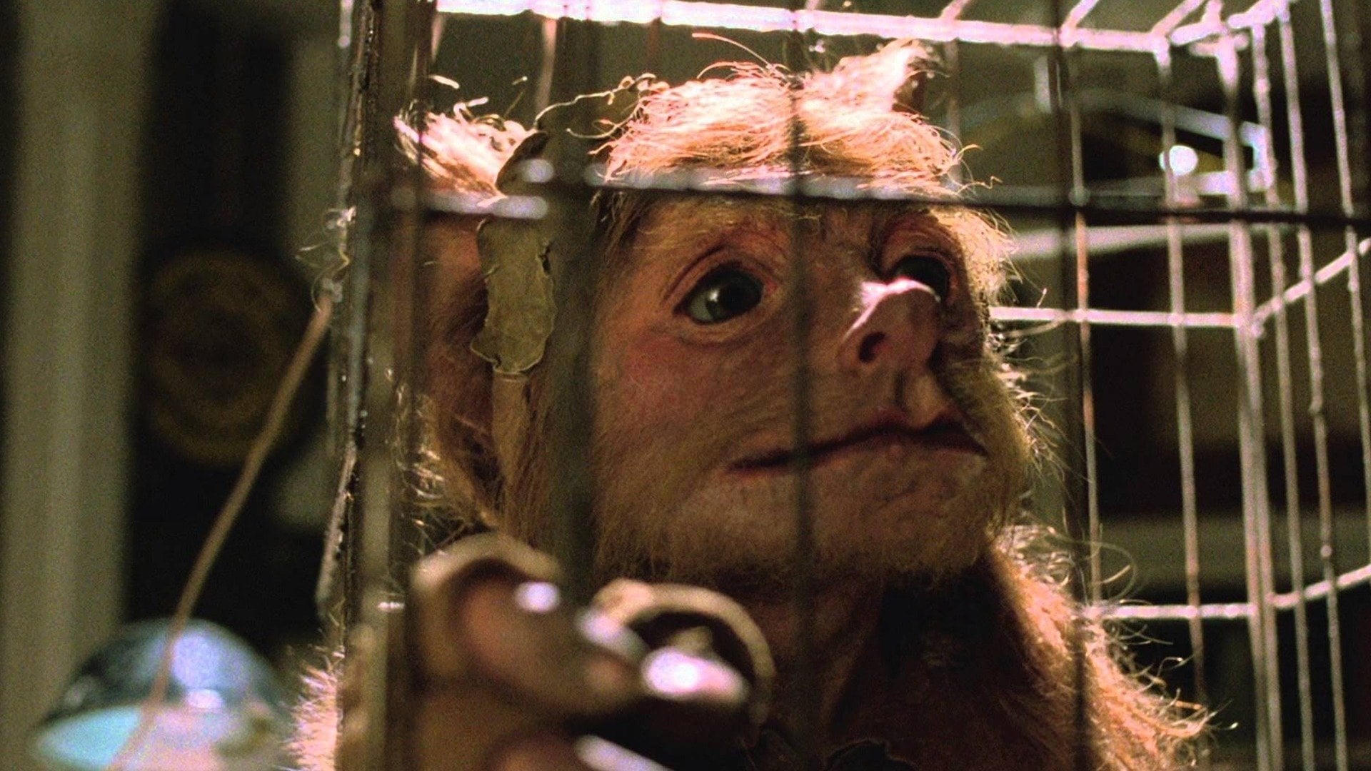 Foto do filme A Gnome Named Gnorm