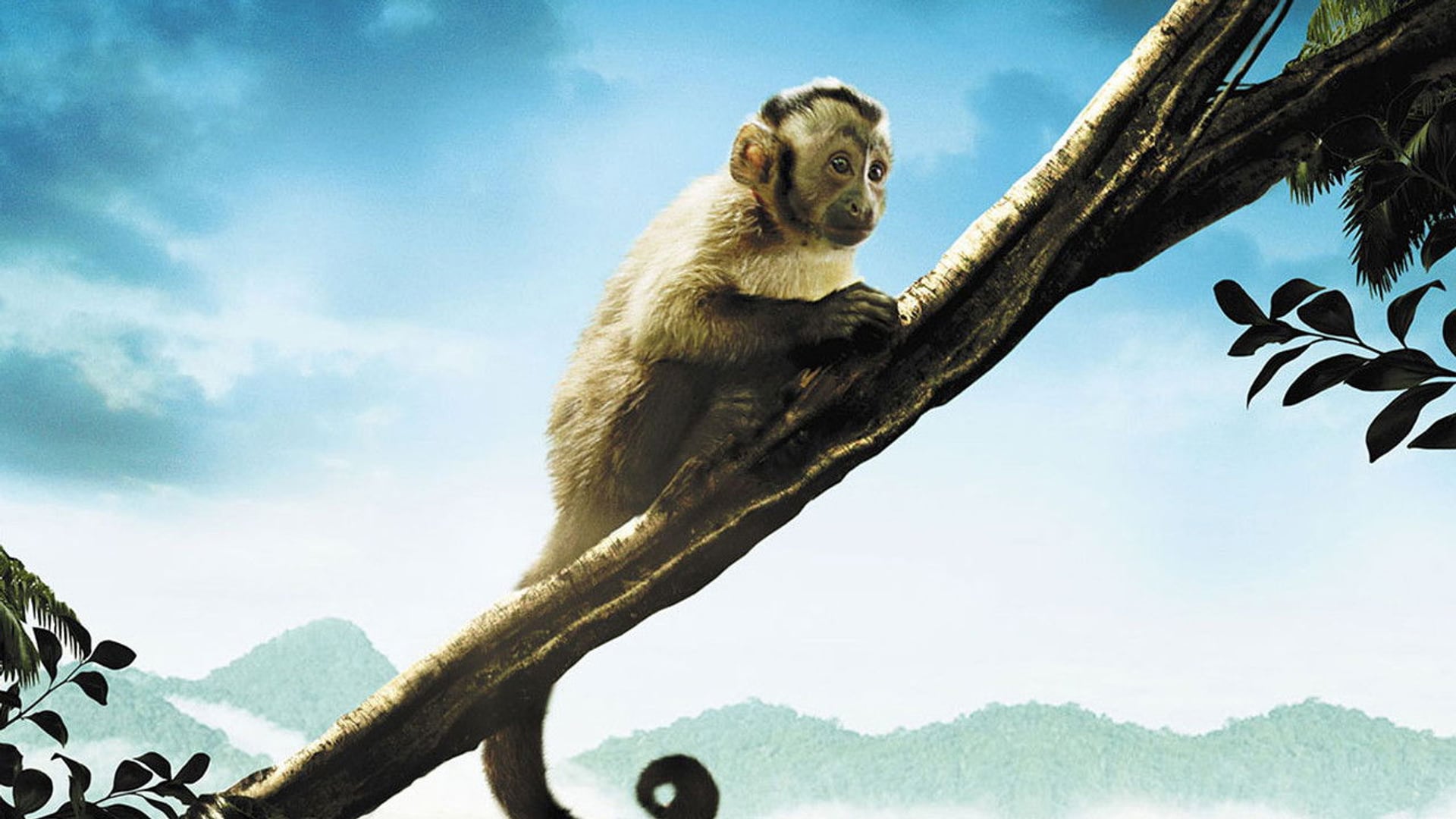 Foto do filme Amazônia