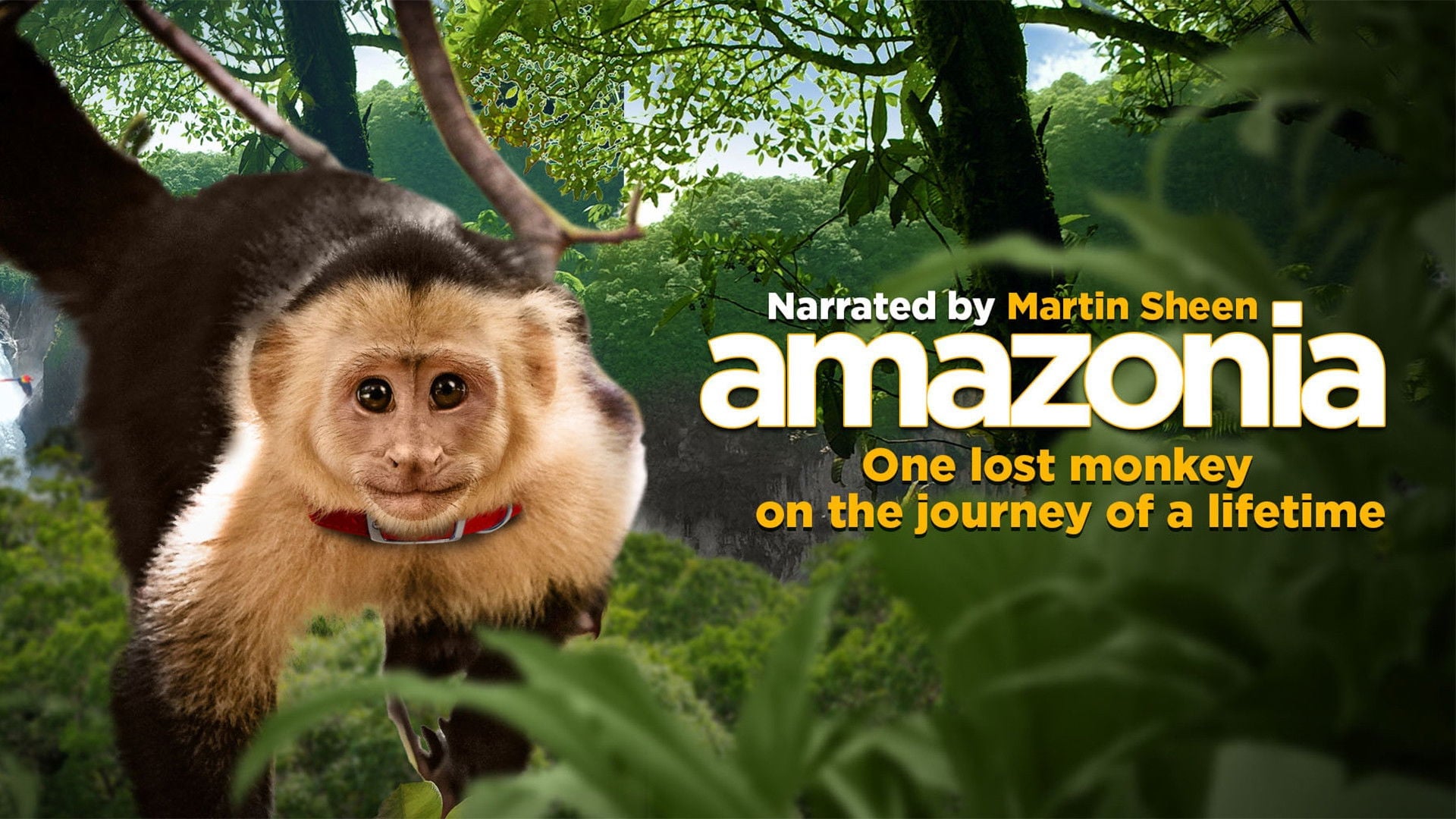Foto do filme Amazônia