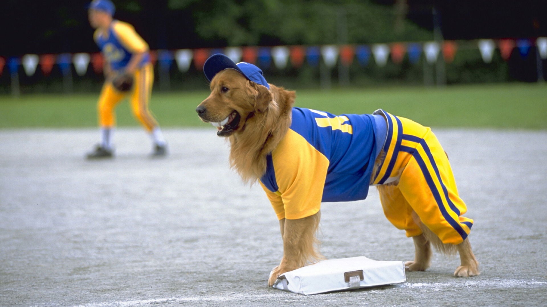 Foto do filme Bud 4: É Uma Jogada Perfeita!