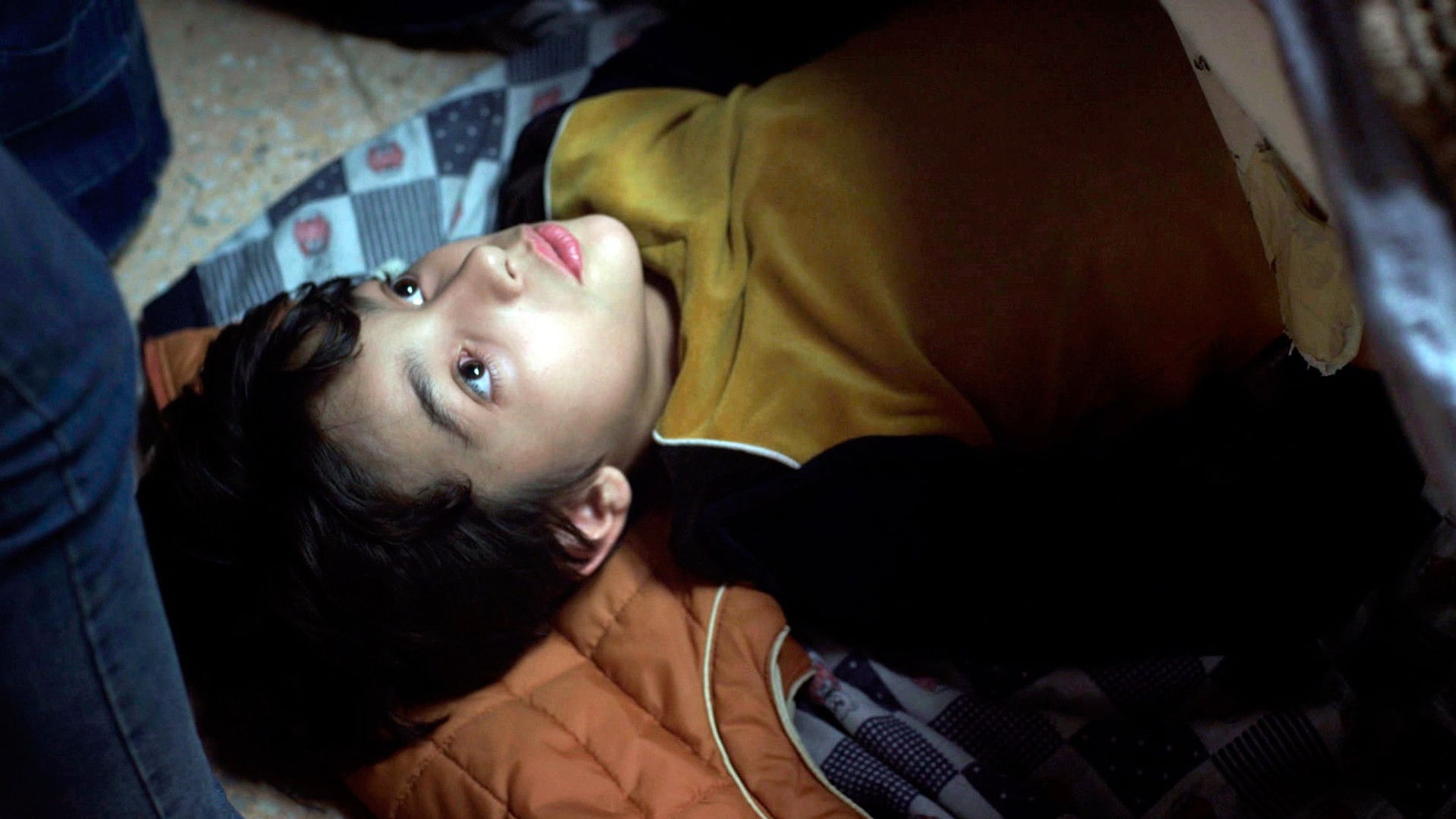 Foto do filme Los insólitos peces gato