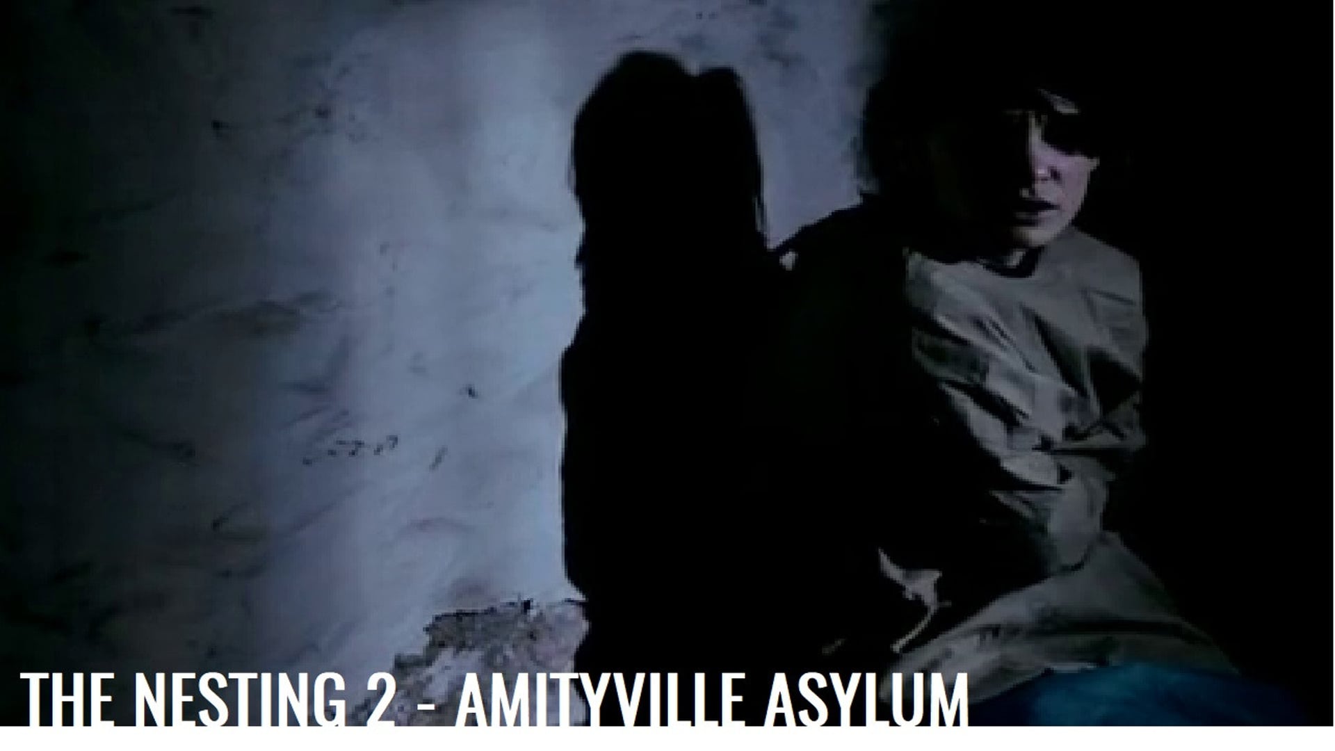 Foto do filme The Amityville Asylum