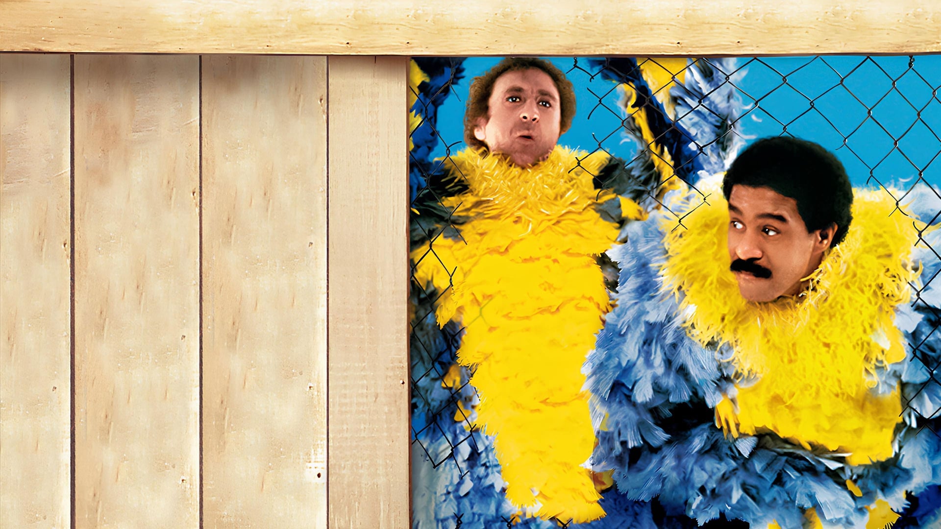 Foto do filme Loucos de Dar Nó