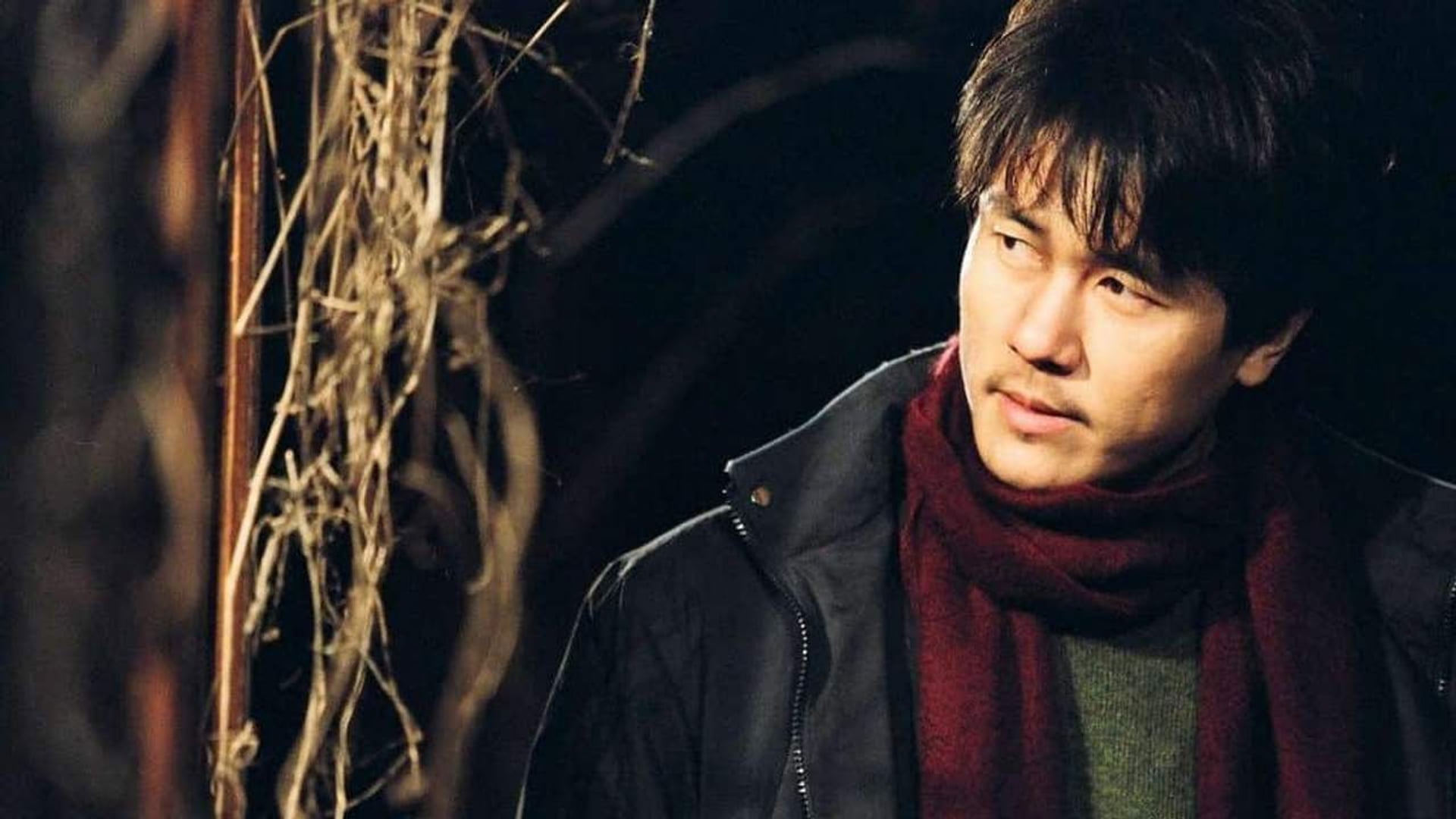 Foto do filme Spider Forest