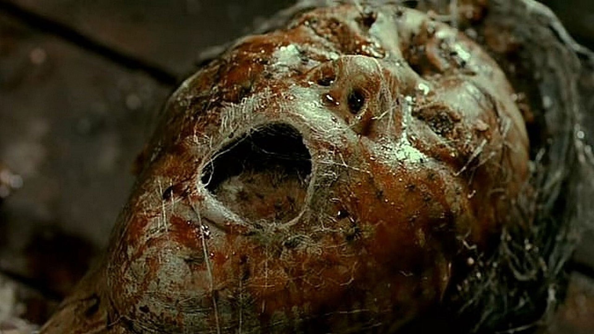 Foto do filme Spider Forest