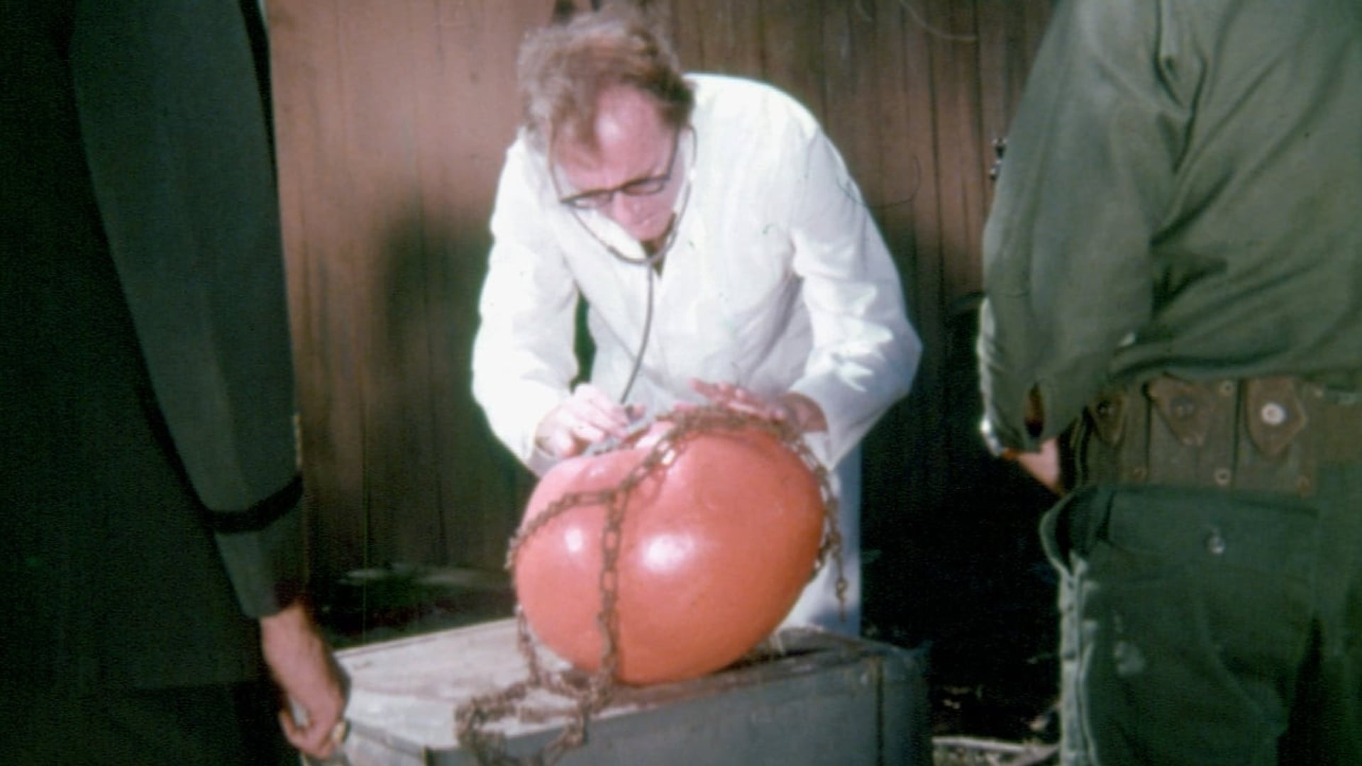 Foto do filme O Ataque dos Tomates Assassinos