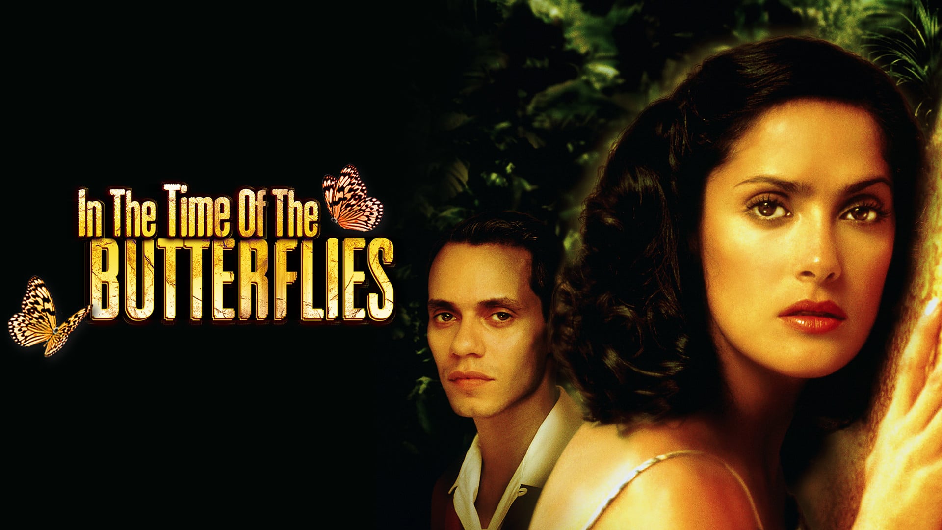 Foto do filme No Tempo das Borboletas