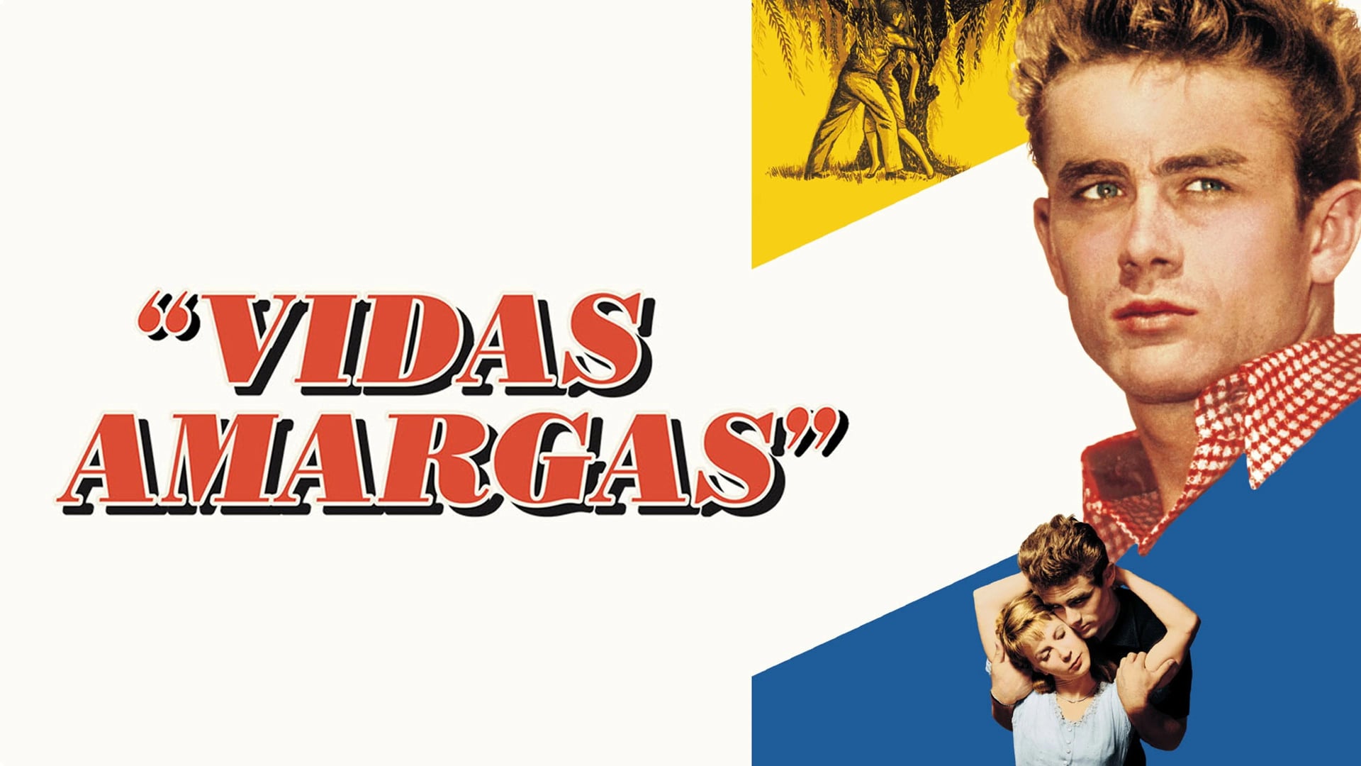 Foto do filme Vidas Amargas