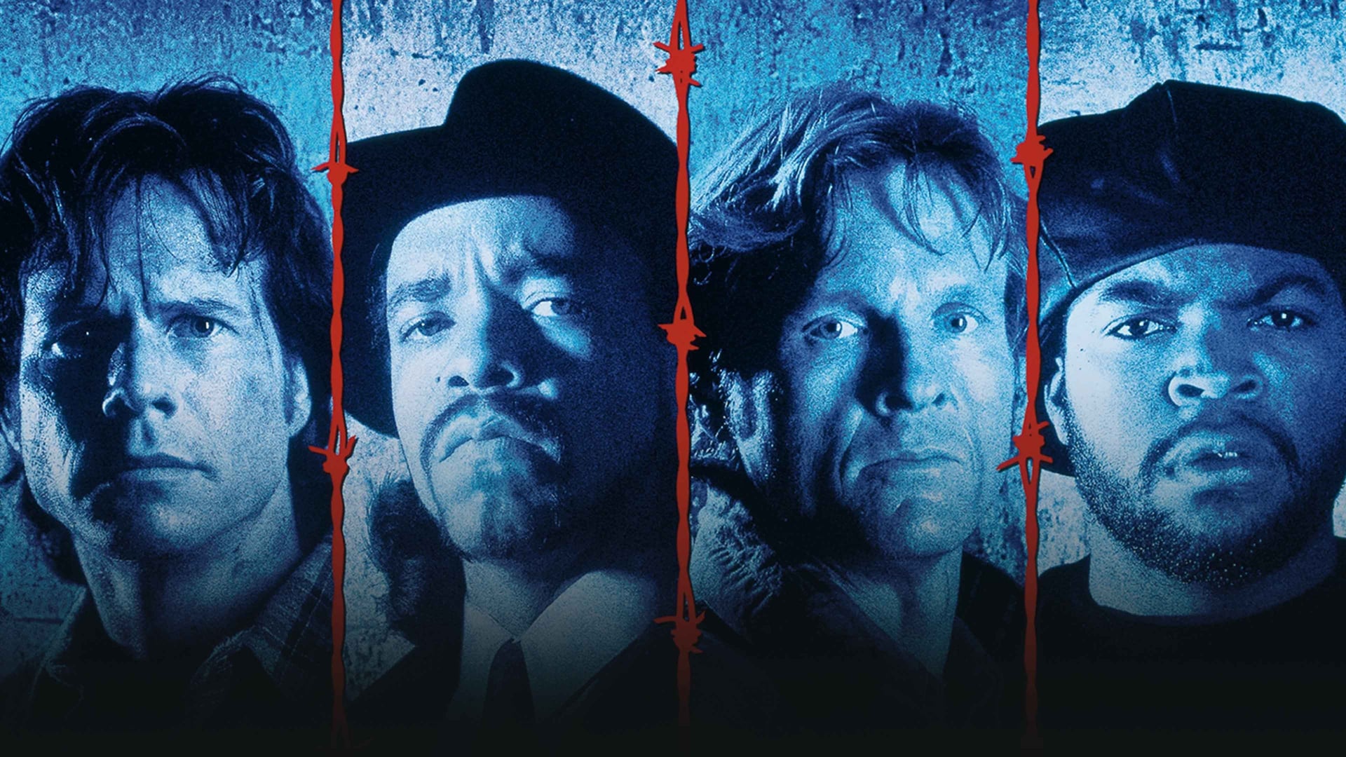 Foto do filme Os Saqueadores