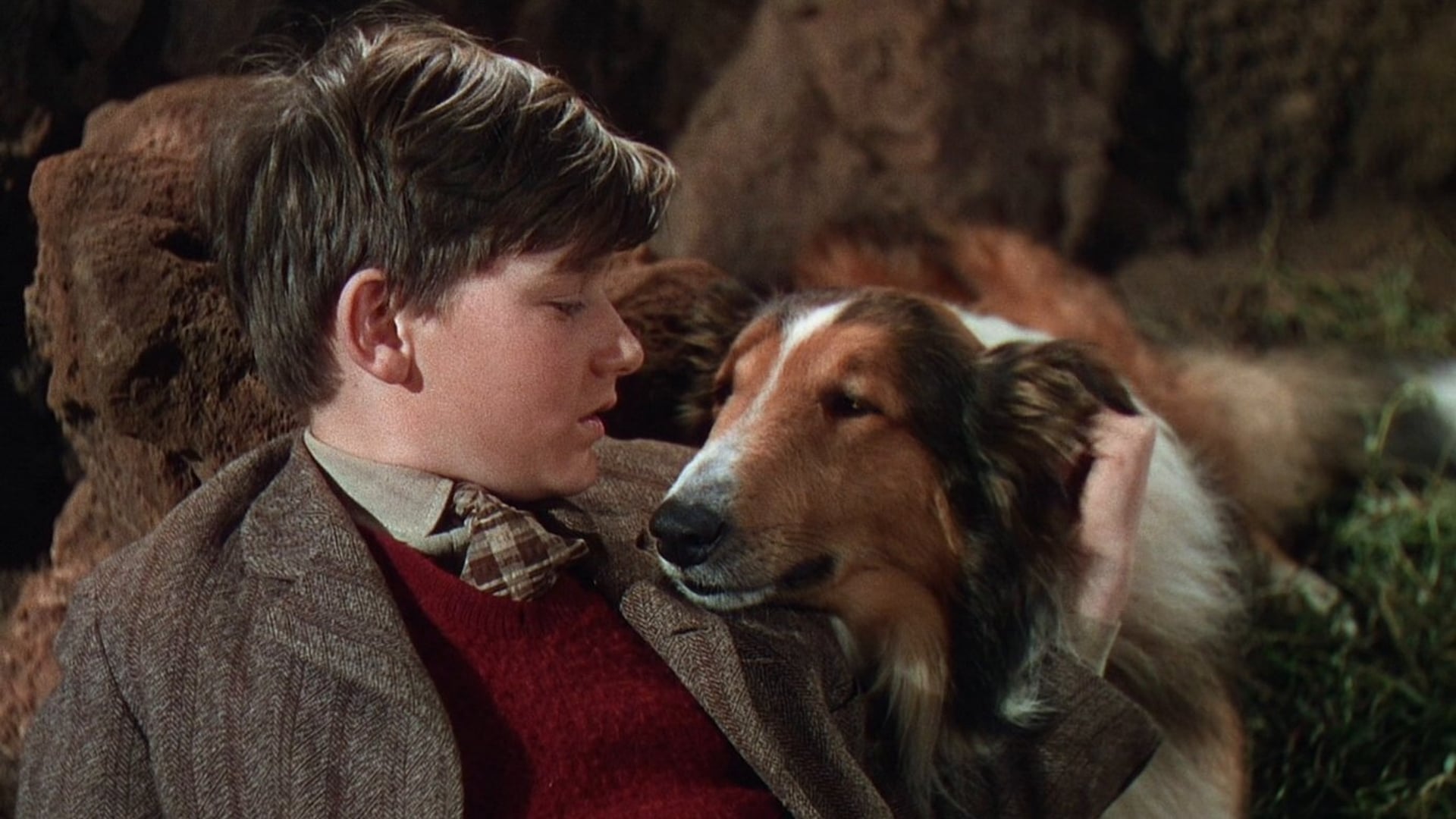 Foto do filme Lassie: A Força do Coração