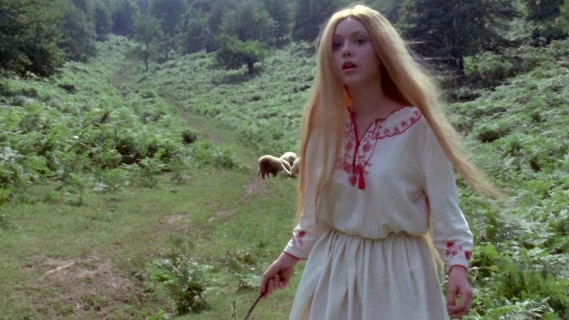 Foto do filme Leptirica