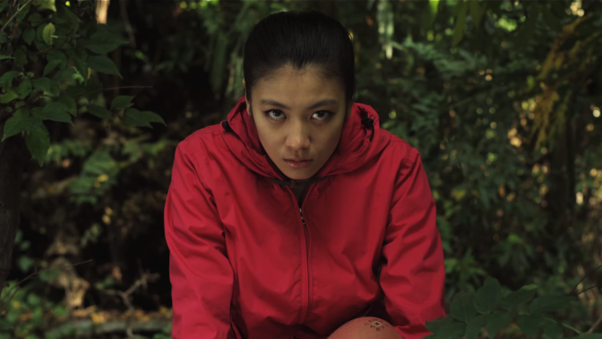 Foto do filme Greatful Dead