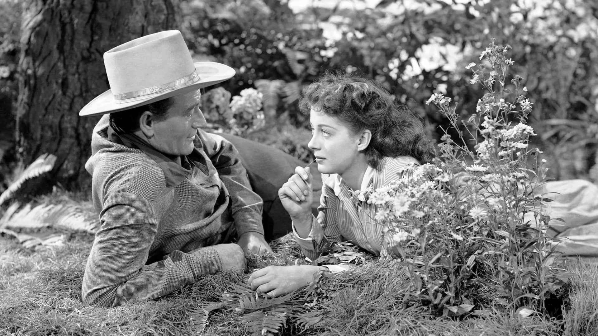 Foto do filme O Anjo e o Malvado