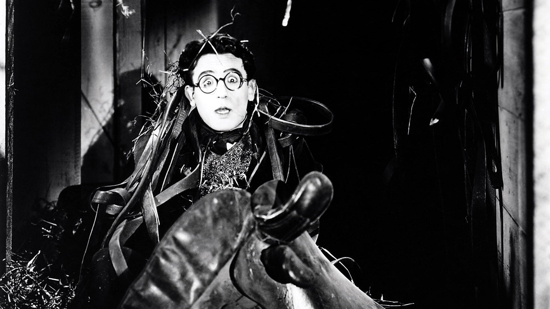 Foto do filme Grandma's Boy