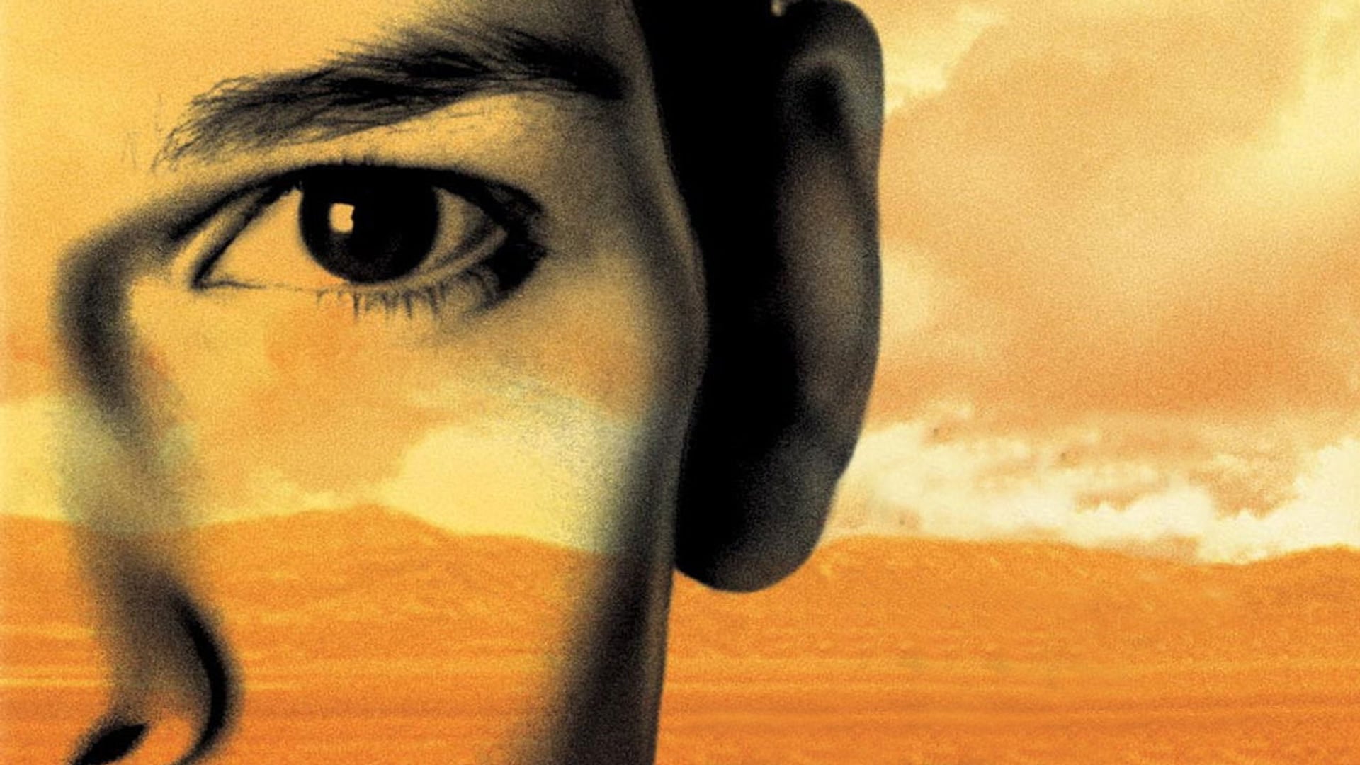 Foto do filme Meninos Não Choram