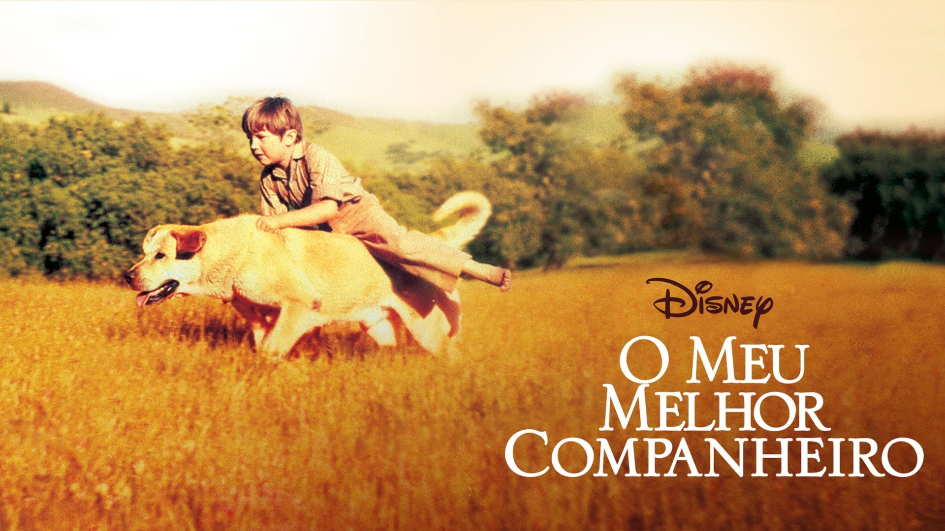 Foto do filme O Meu Melhor Companheiro