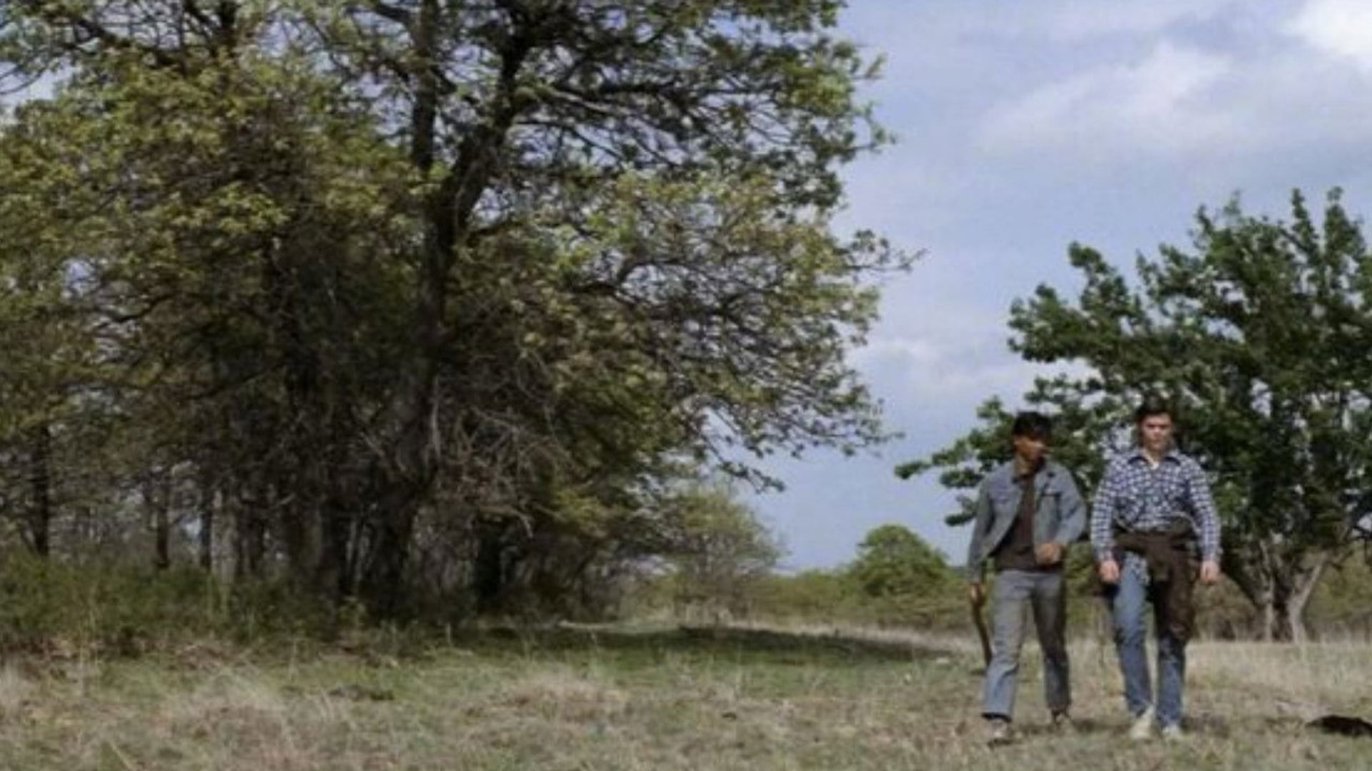 Foto do filme Vidas Sem Rumo