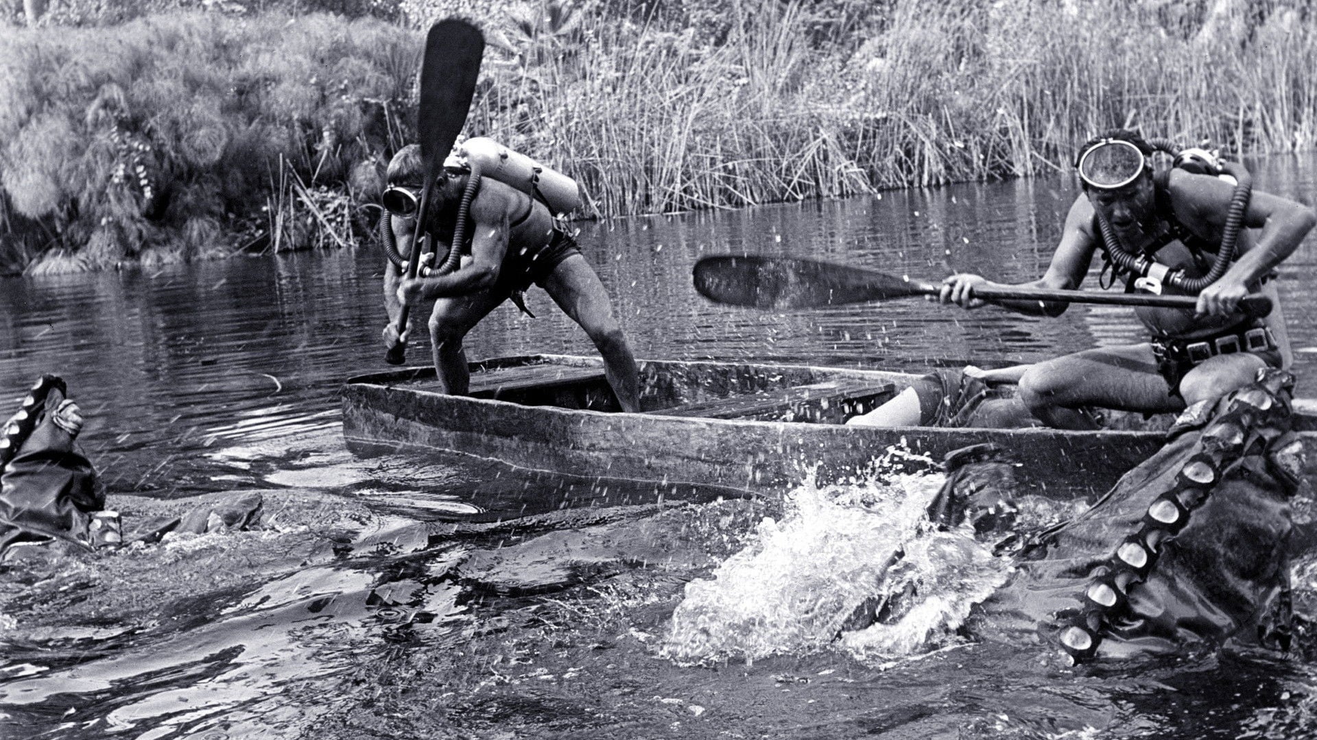 Foto do filme O Ataque dos Sanguessugas Gigantes