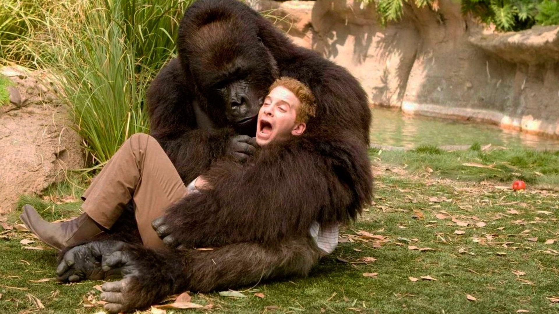 Foto do filme Surpresa em Dobro