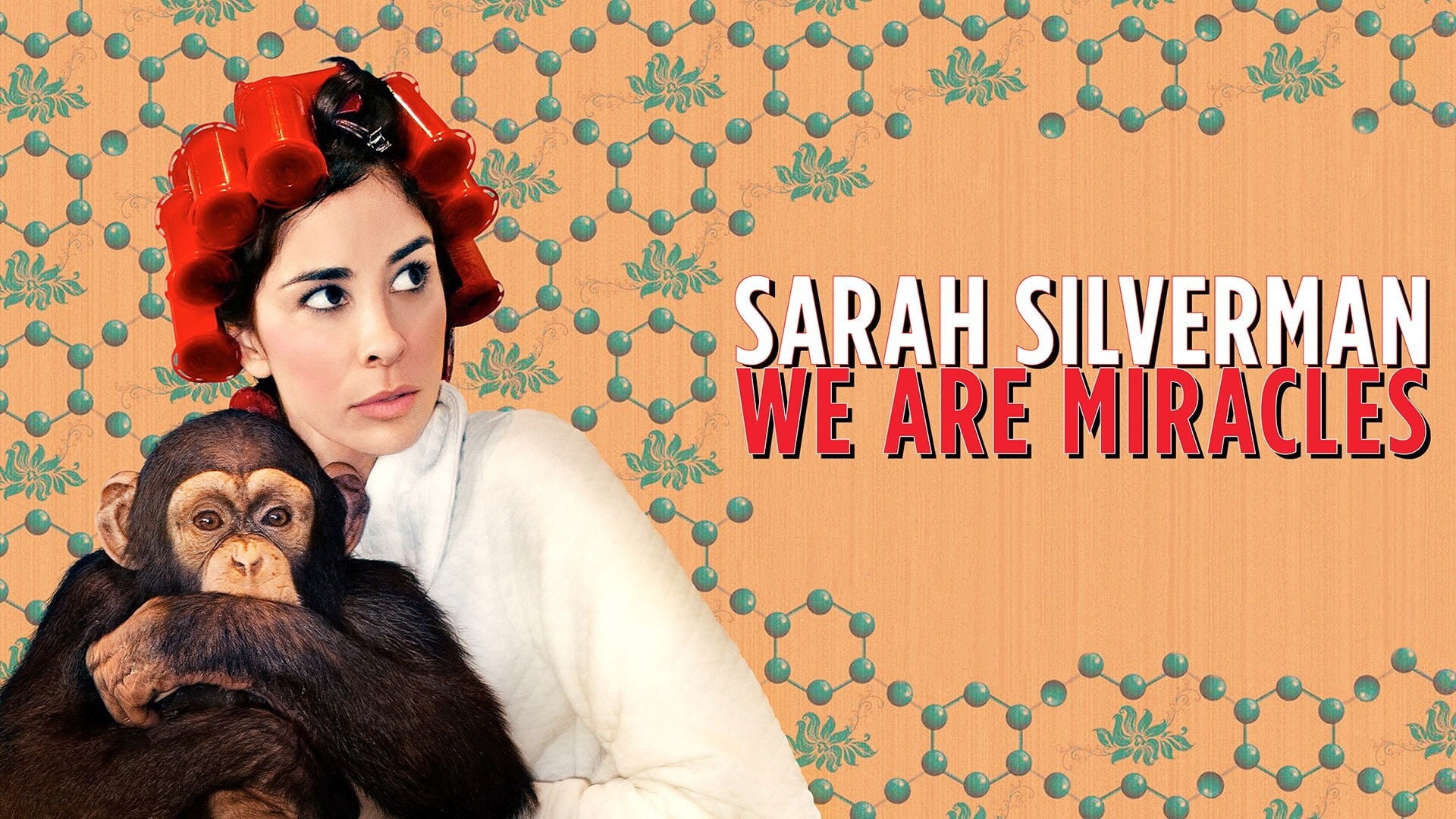 Foto do filme Sarah Silverman: We Are Miracles