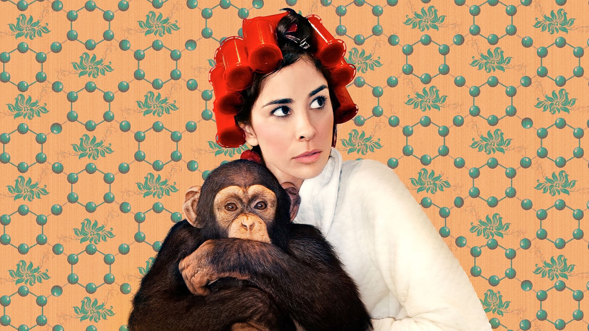 Foto do filme Sarah Silverman: We Are Miracles
