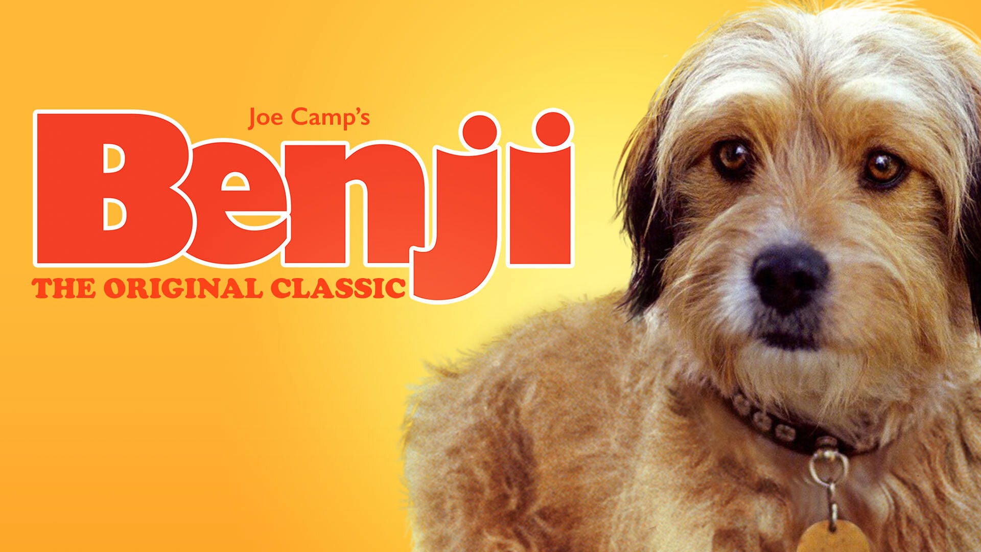 Foto do filme Benji