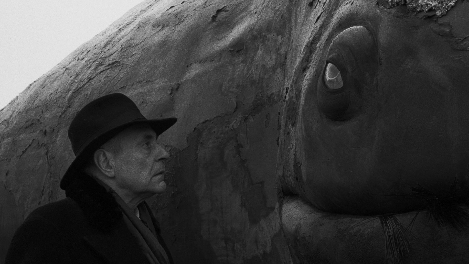 Foto do filme As Harmonias de Werckmeister