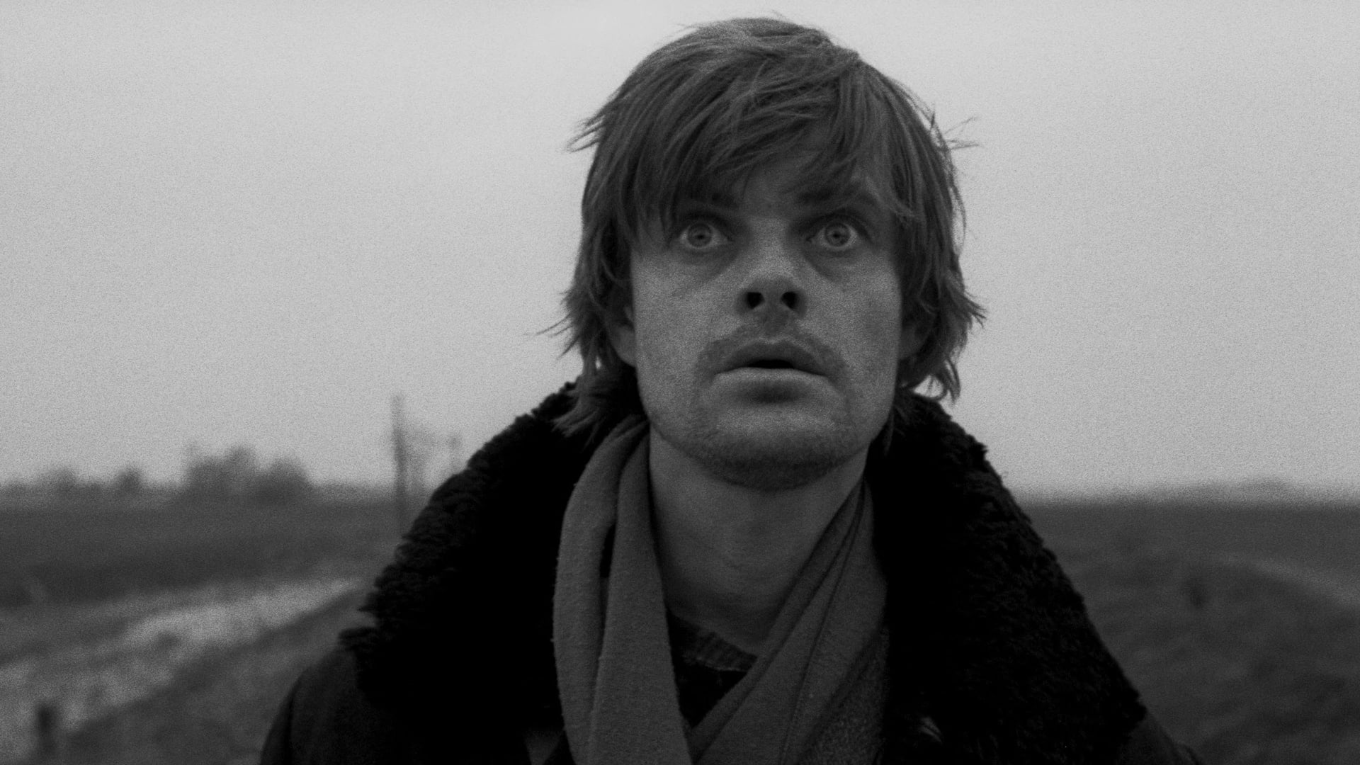 Foto do filme As Harmonias de Werckmeister