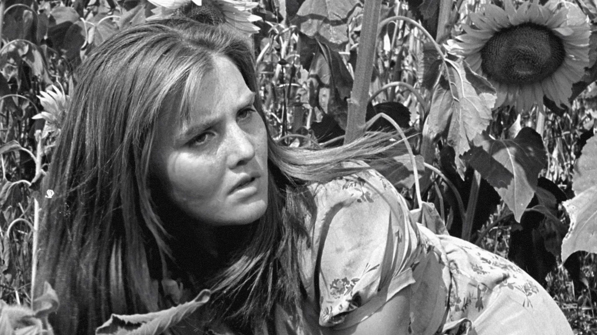 Foto do filme Italiani brava gente