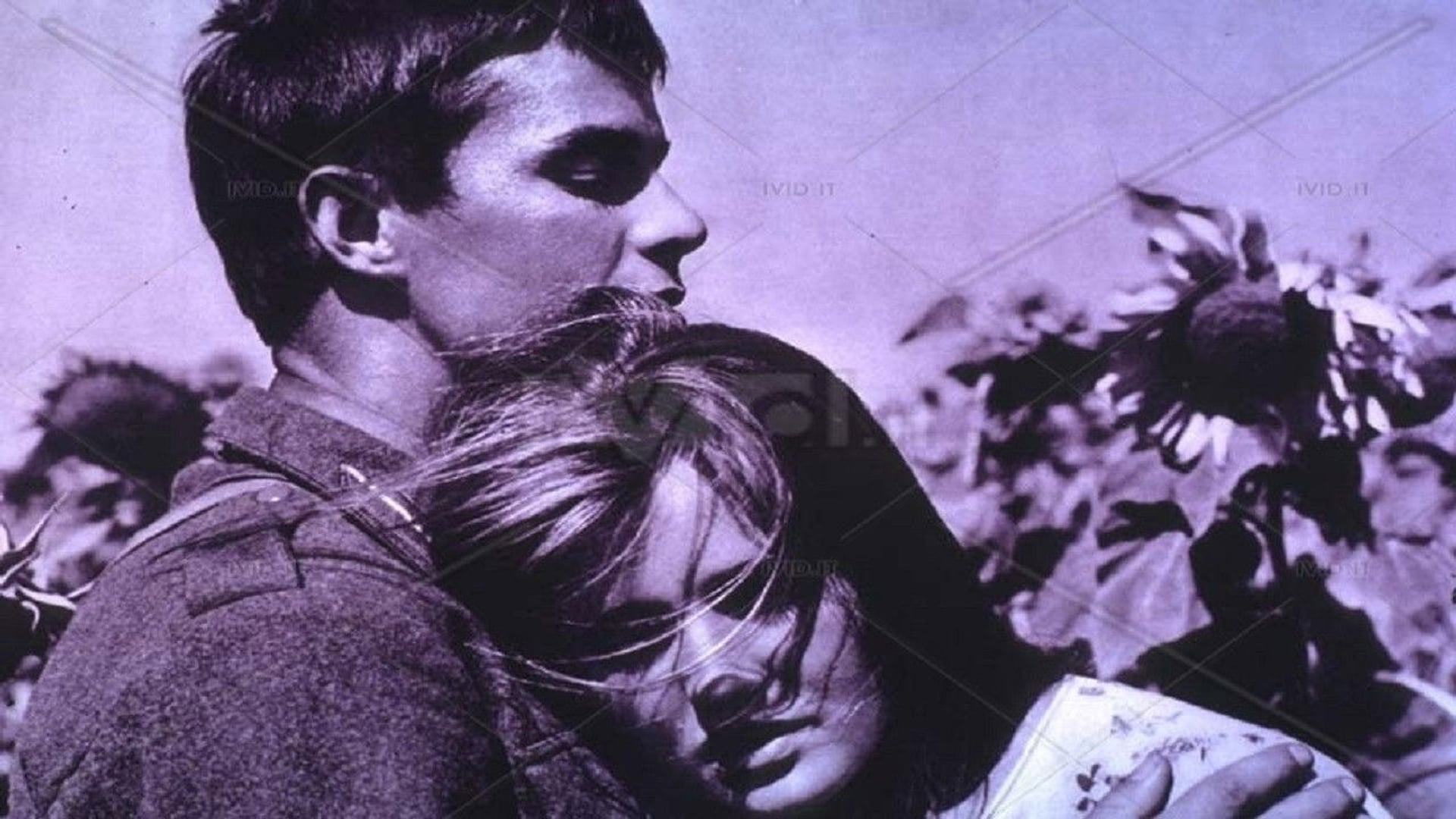 Foto do filme Italiani brava gente