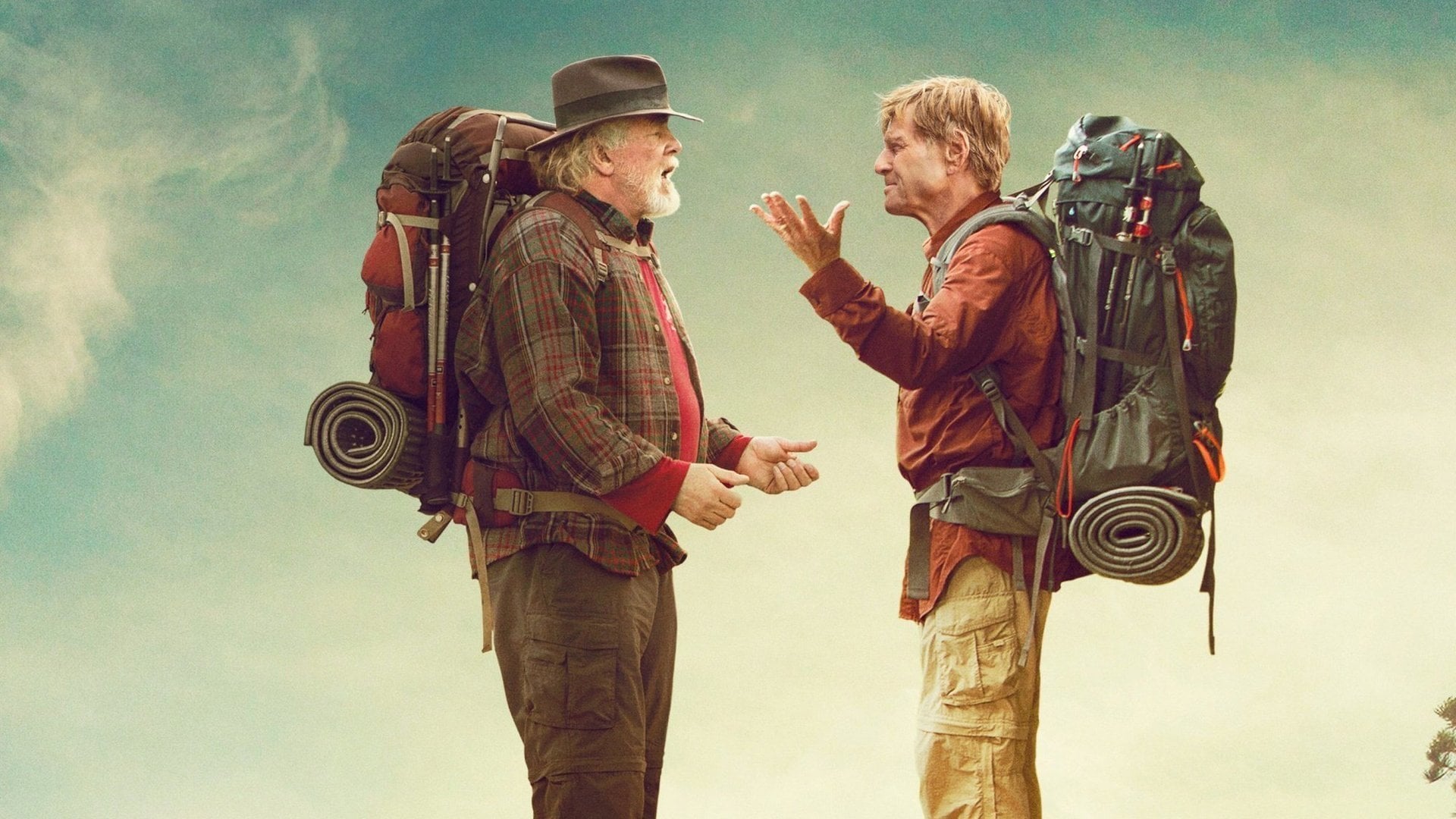 Foto do filme Uma Caminhada na Floresta