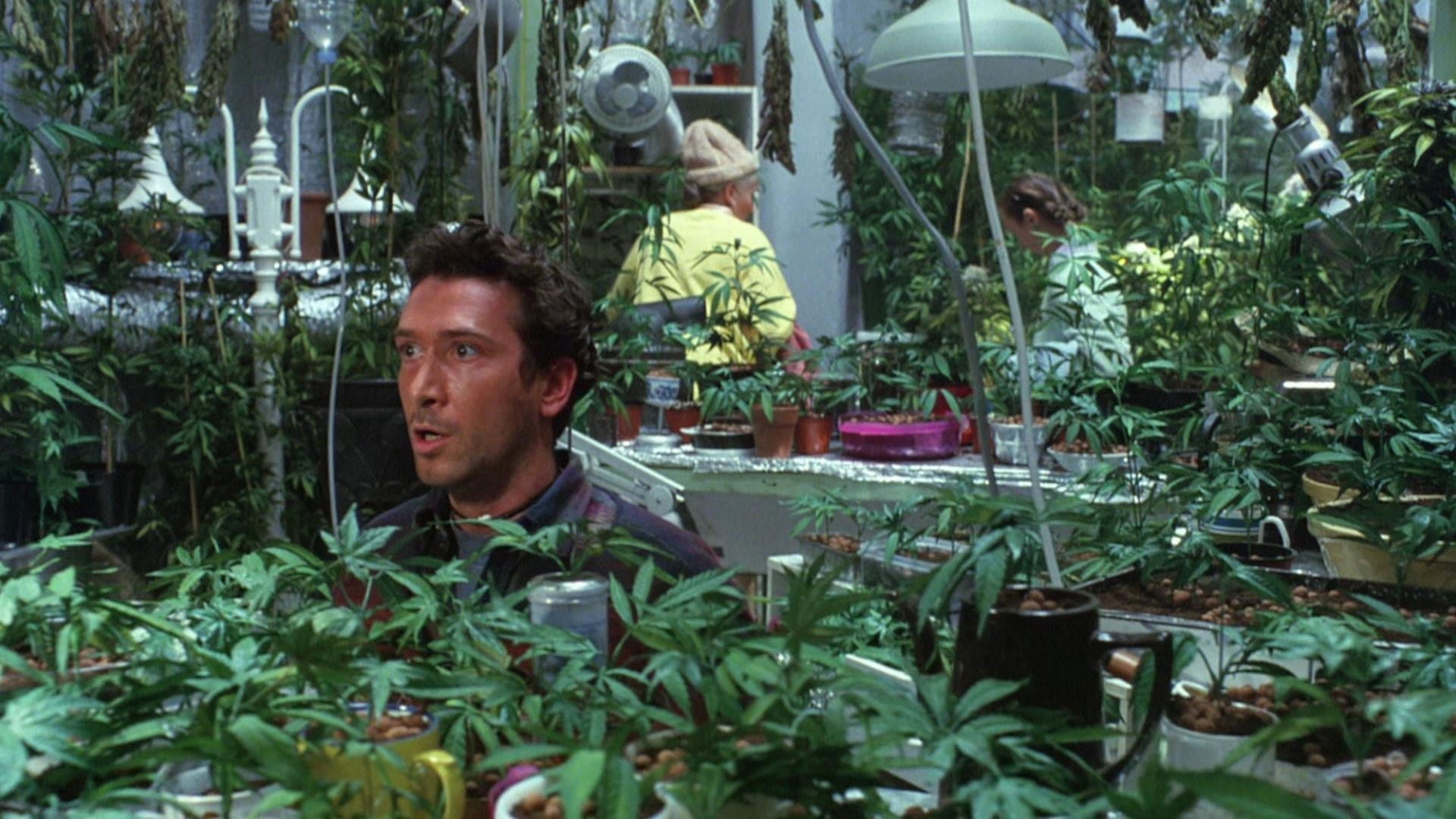 Foto do filme O Barato de Grace