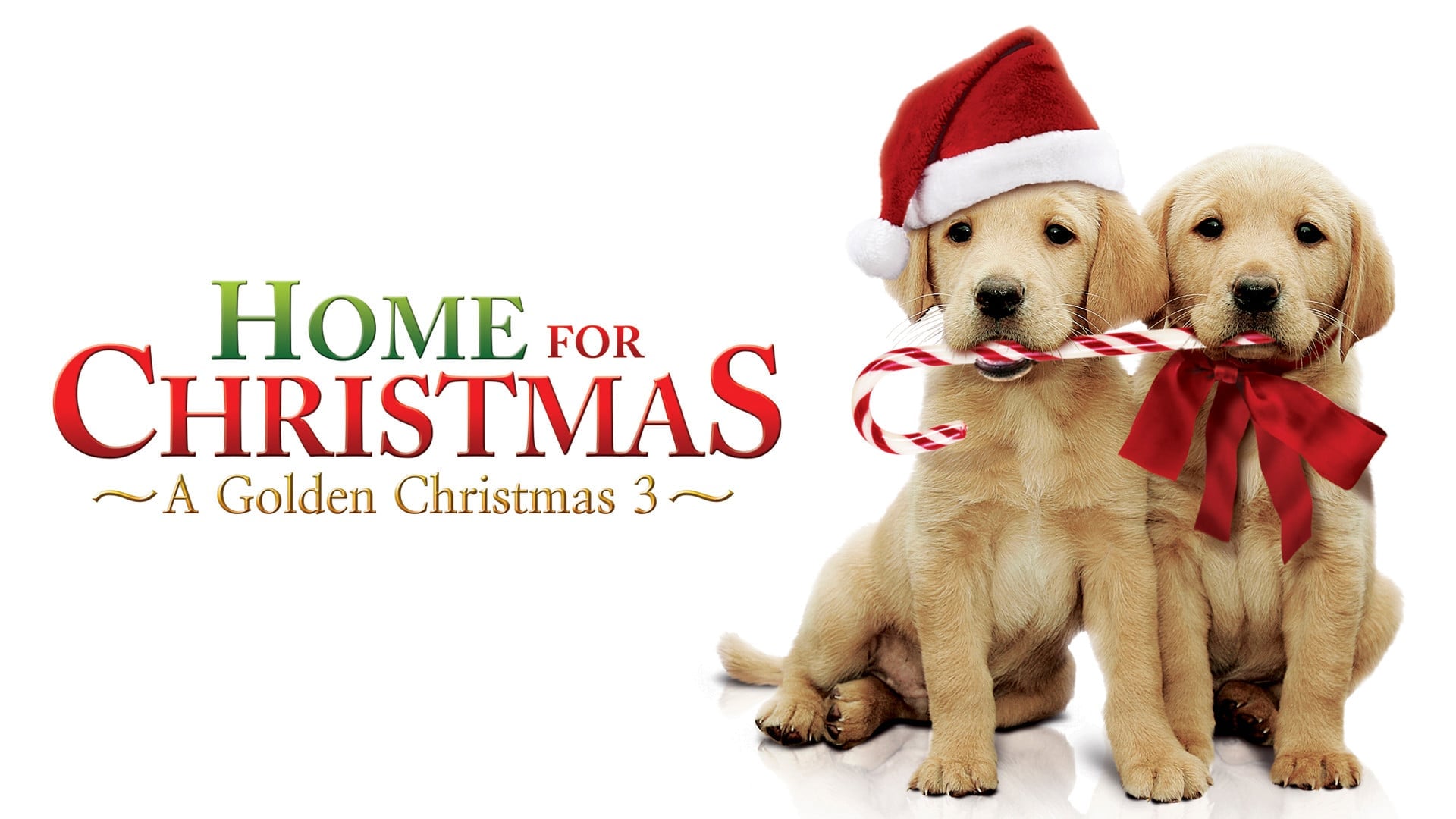 Foto do filme Amor de Natal