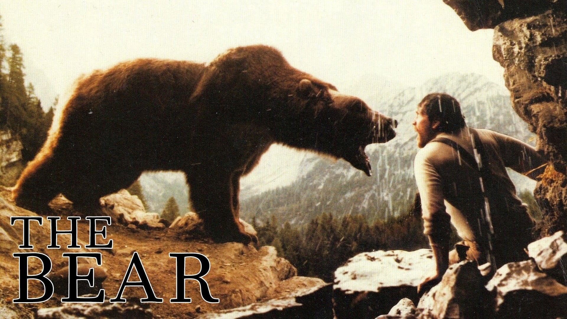 Foto do filme O Urso