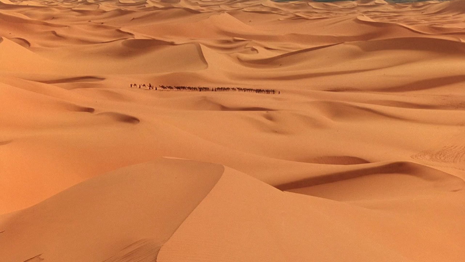 Foto do filme O Céu Que Nos Protege
