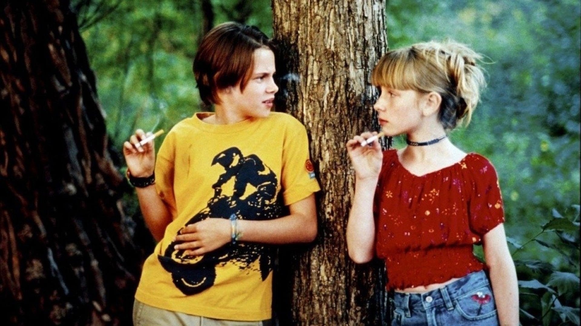 Foto do filme The Safety of Objects