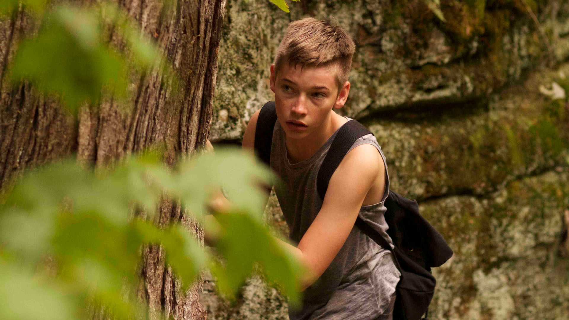 Foto do filme Conflitos e Reencontros