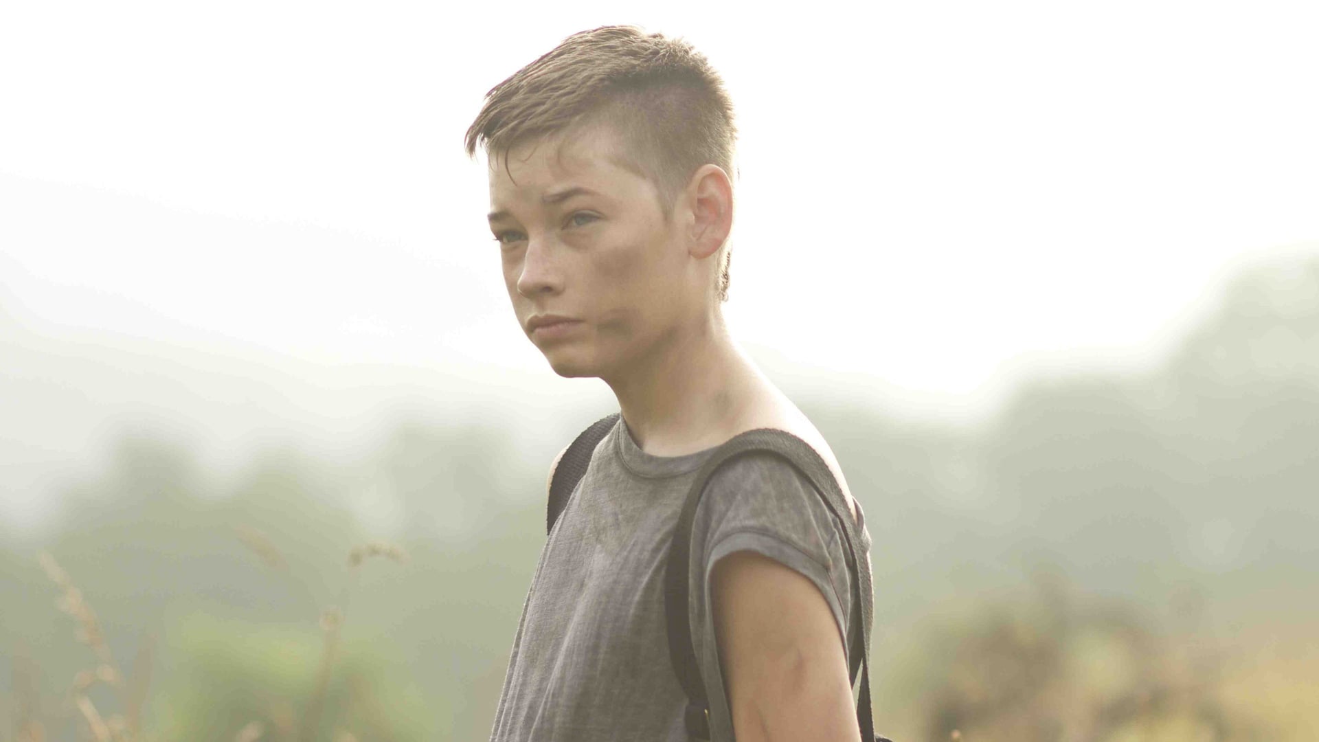 Foto do filme Conflitos e Reencontros