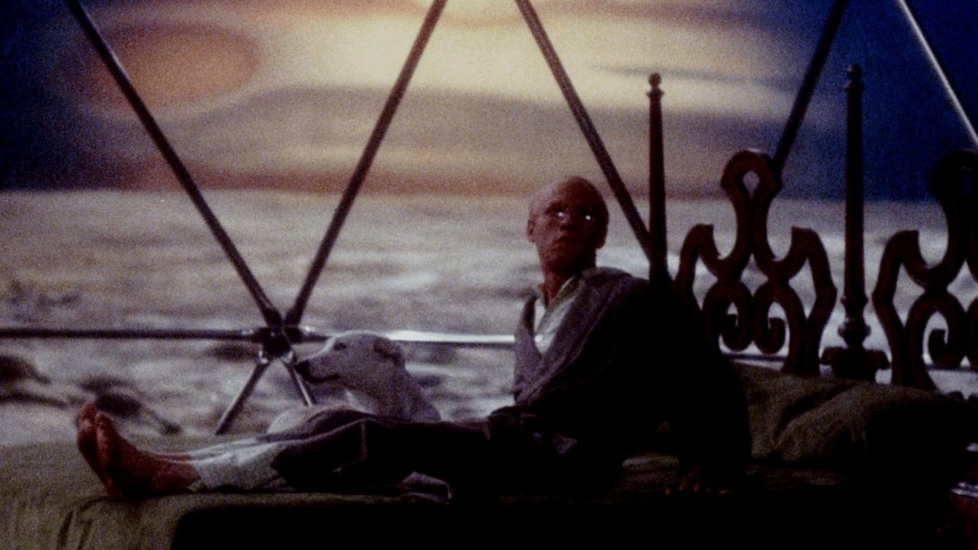 Foto do filme Matadouro 5