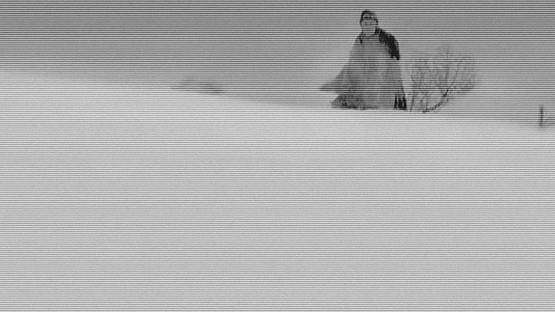 Foto do filme Matadouro 5