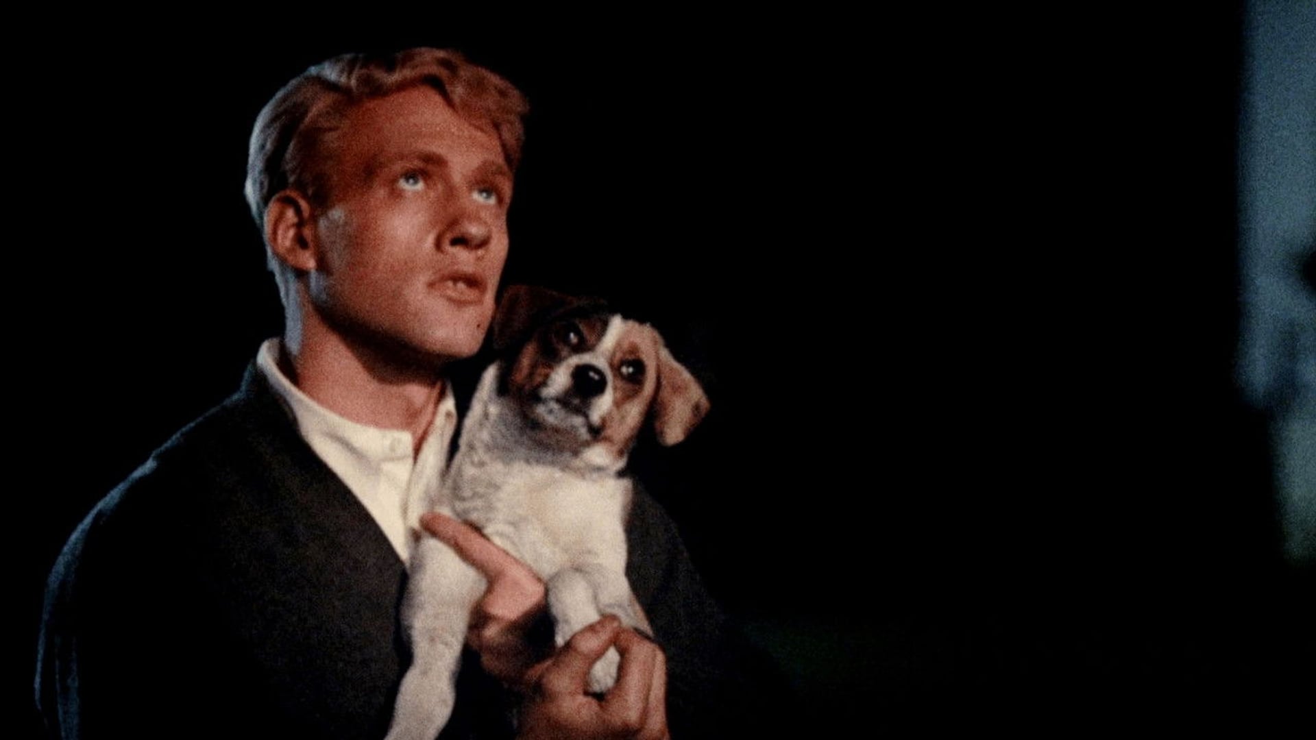 Foto do filme Matadouro 5