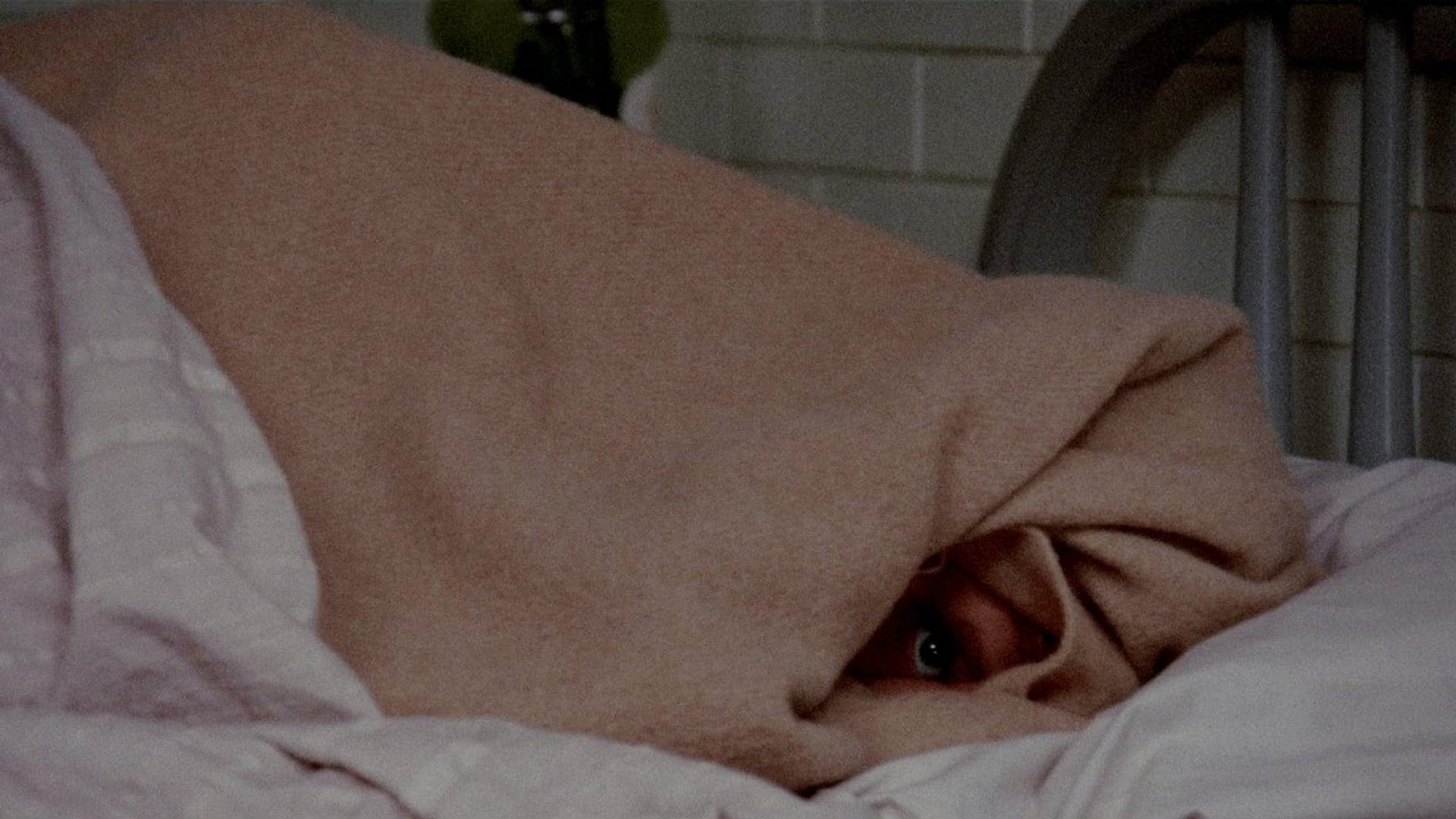 Foto do filme Matadouro 5