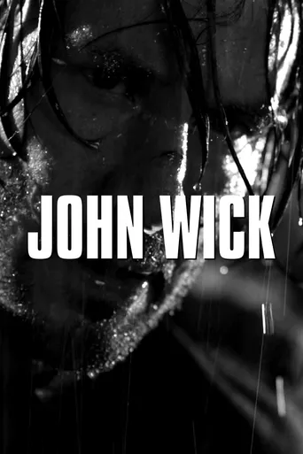 John Wick - De Volta ao Jogo